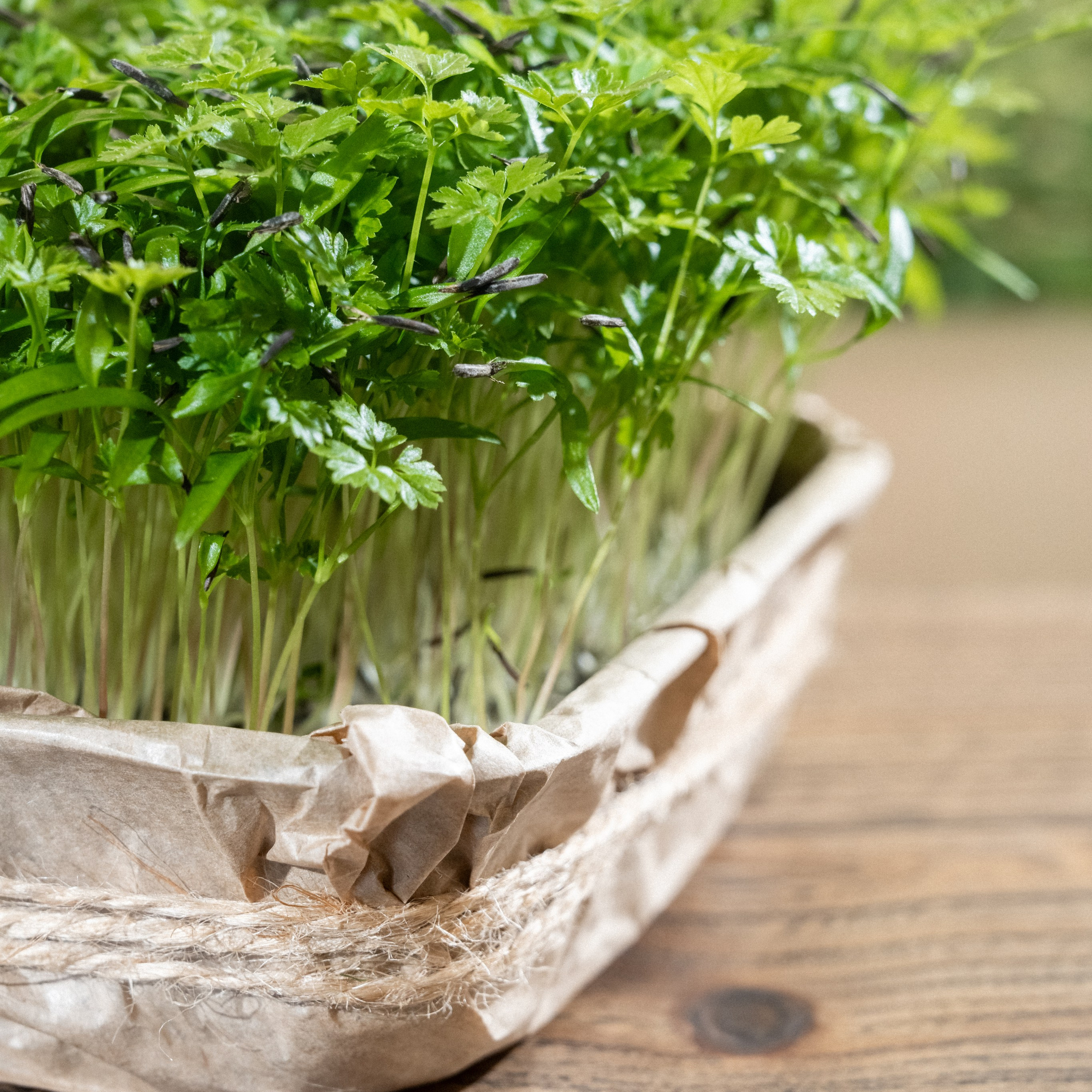 Отзывы о фотографе Новосёлове Антоне