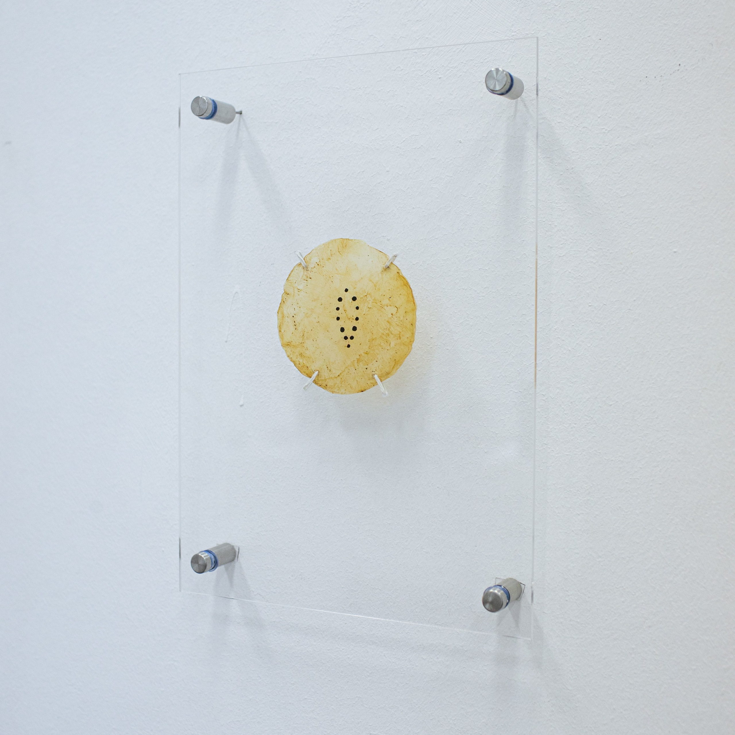 ПОСРЕДНИКИ ЭКСПОЗИЦИЯ. PUNCTUM