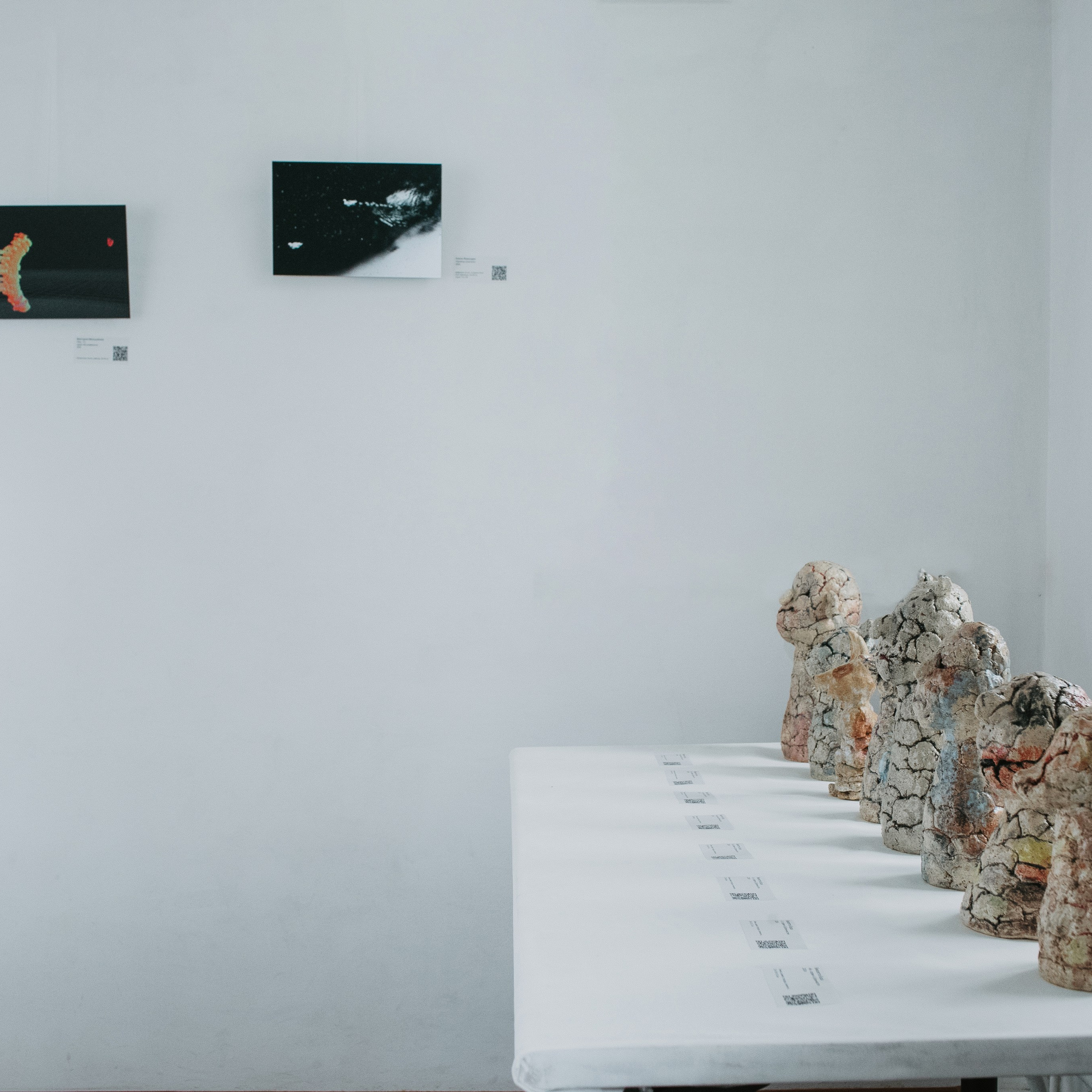 ПОСРЕДНИКИ ЭКСПОЗИЦИЯ. PUNCTUM