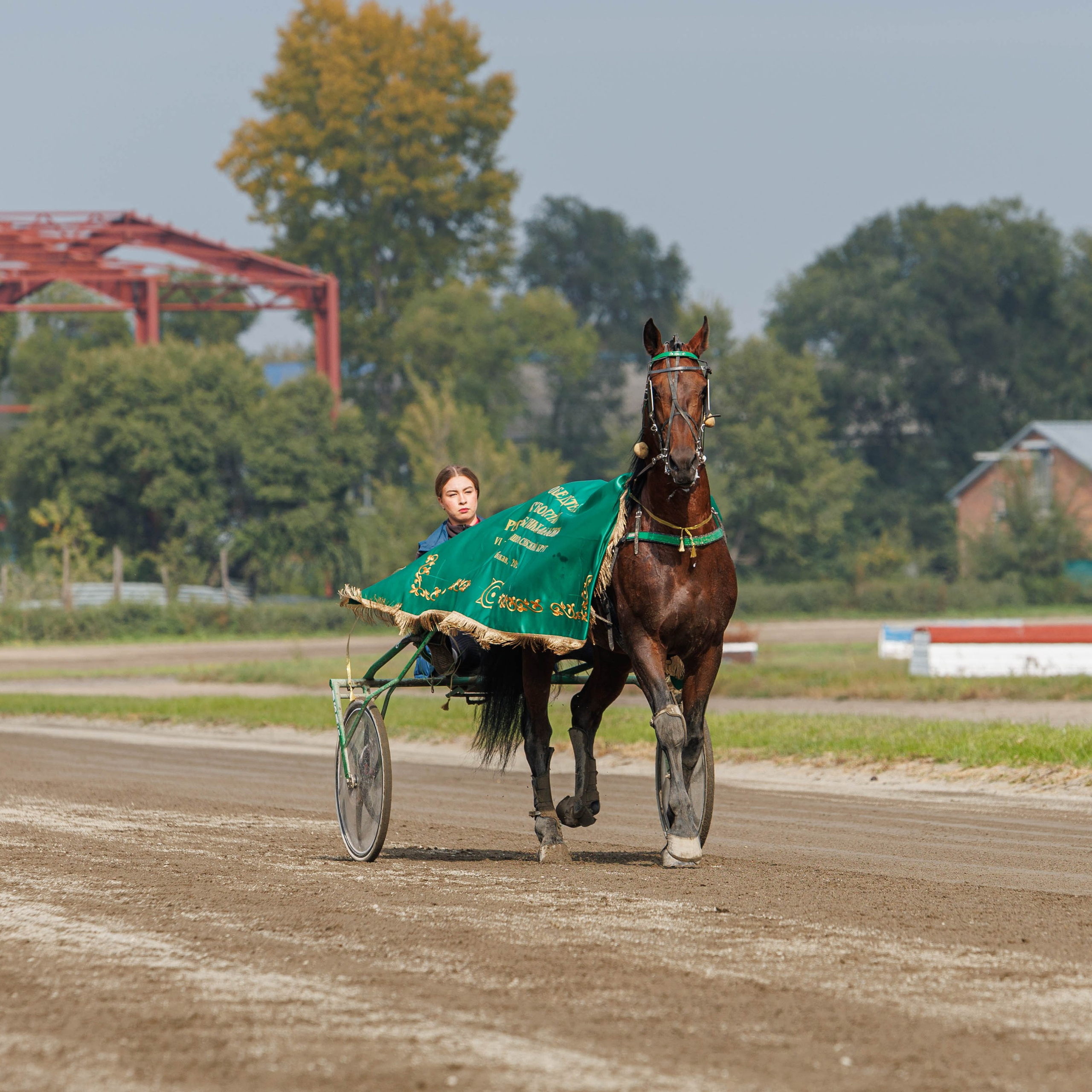 Отзывы. Конный фотограф в Красноярске — Любовь Похабова