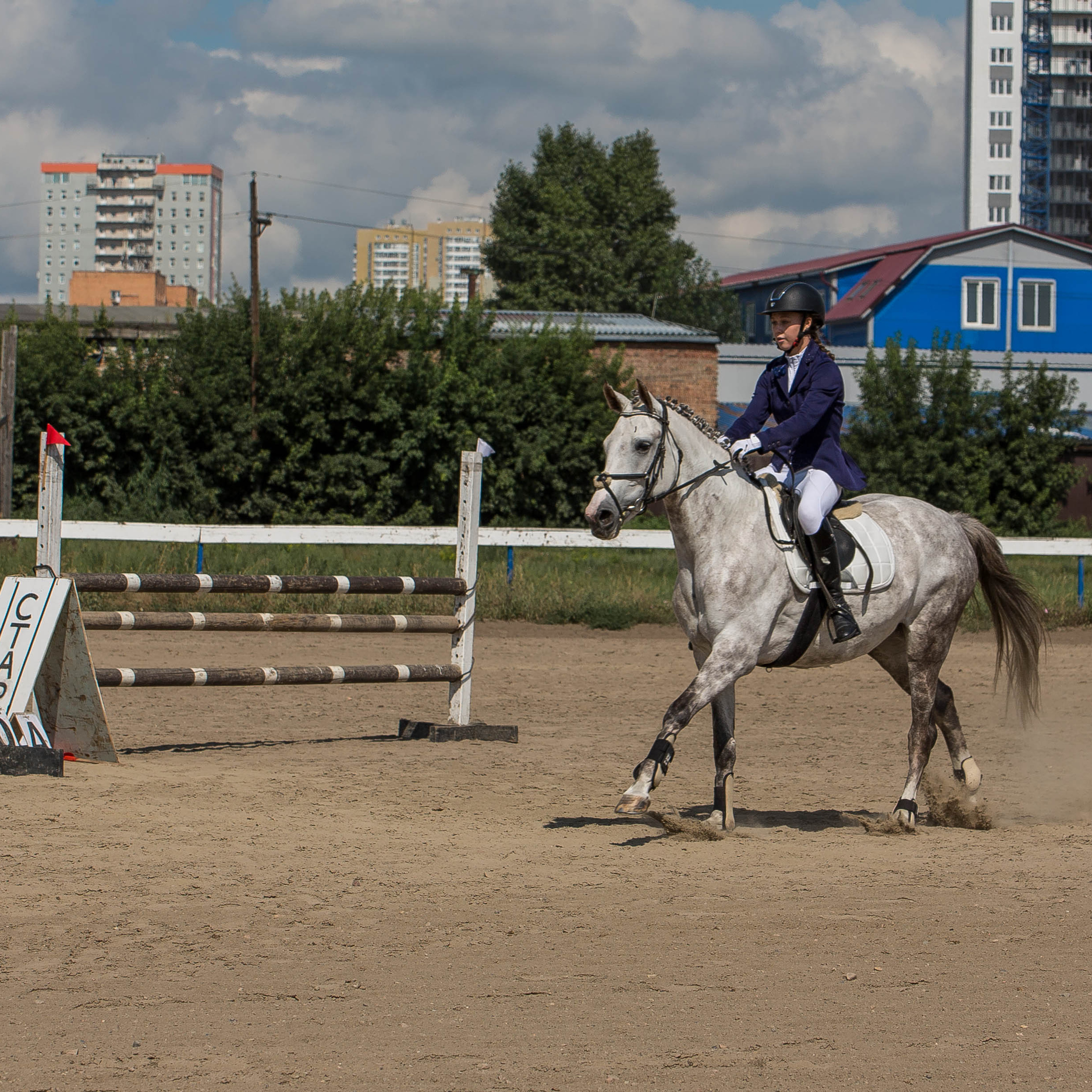 Отзывы. Конный фотограф в Красноярске — Любовь Похабова