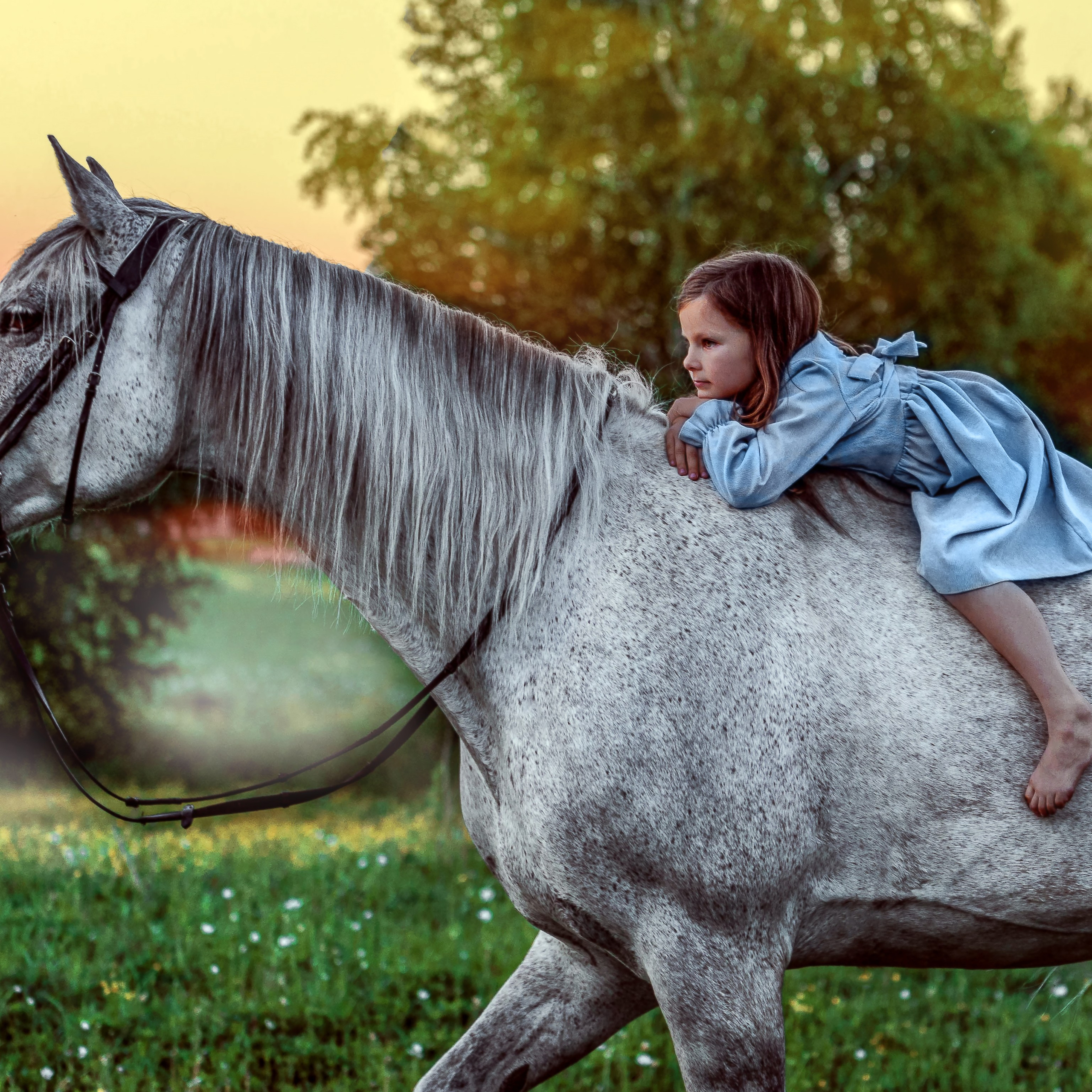 Бабушкина Дача