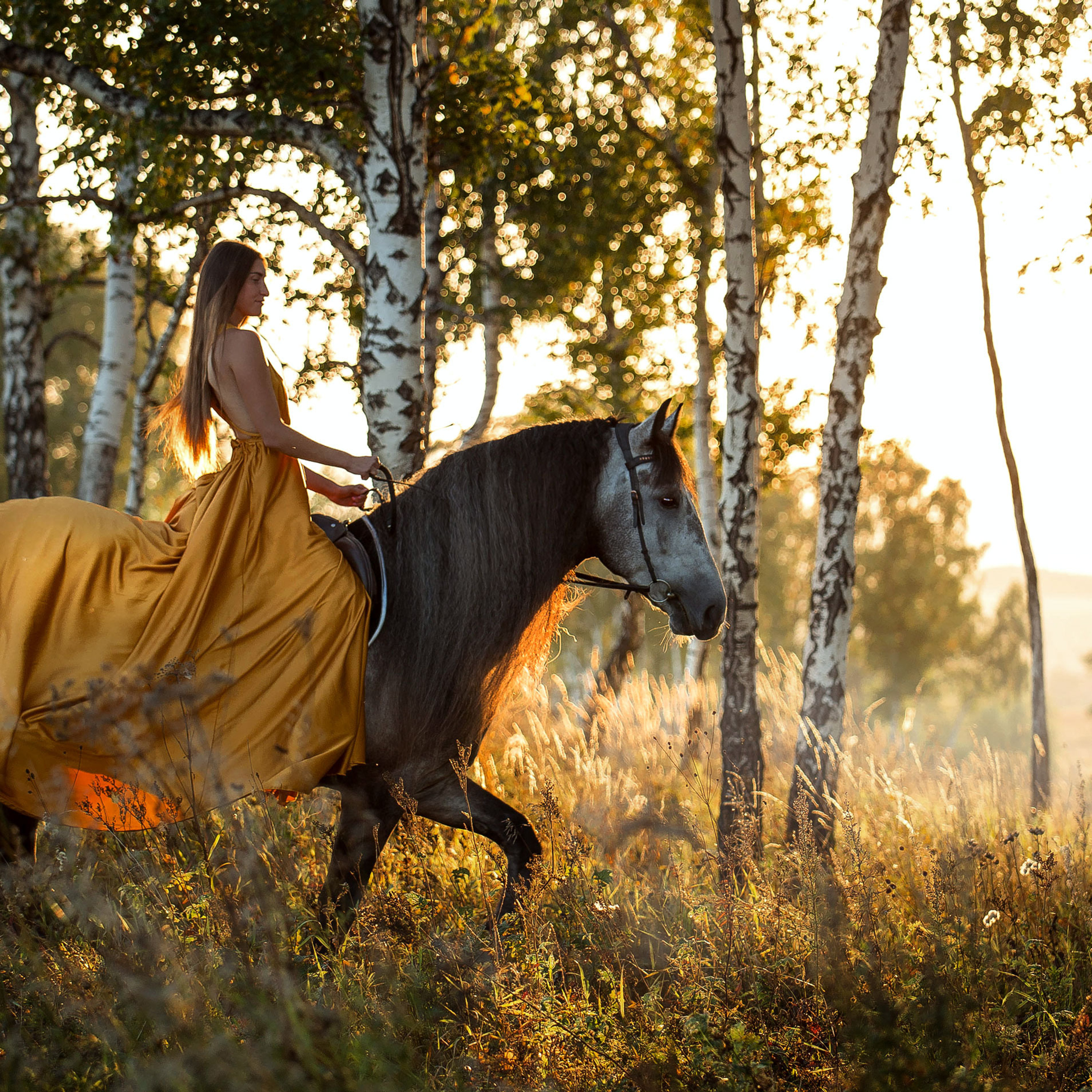 Отзывы. Конный фотограф в Красноярске — Любовь Похабова