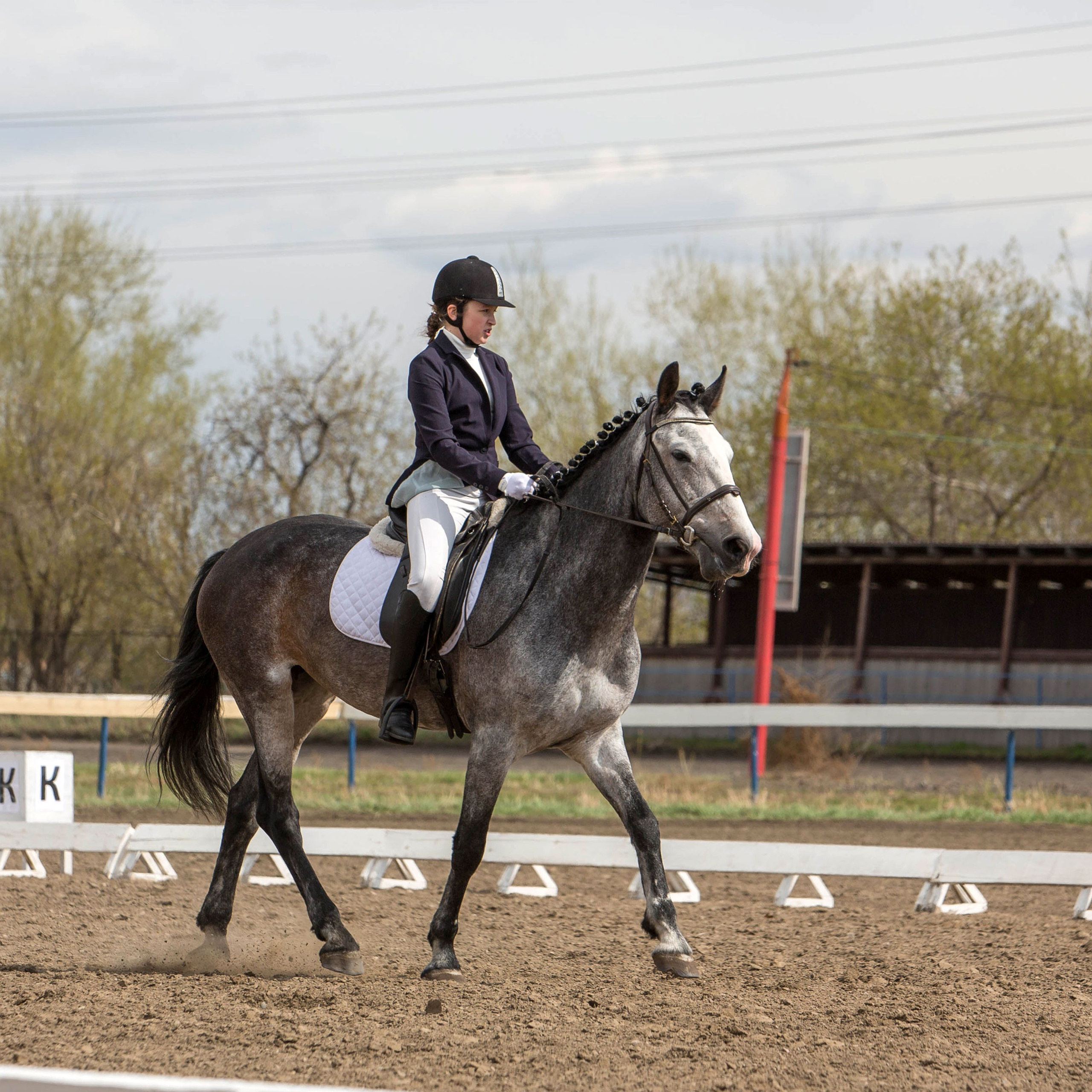 Отзывы. Конный фотограф в Красноярске — Любовь Похабова