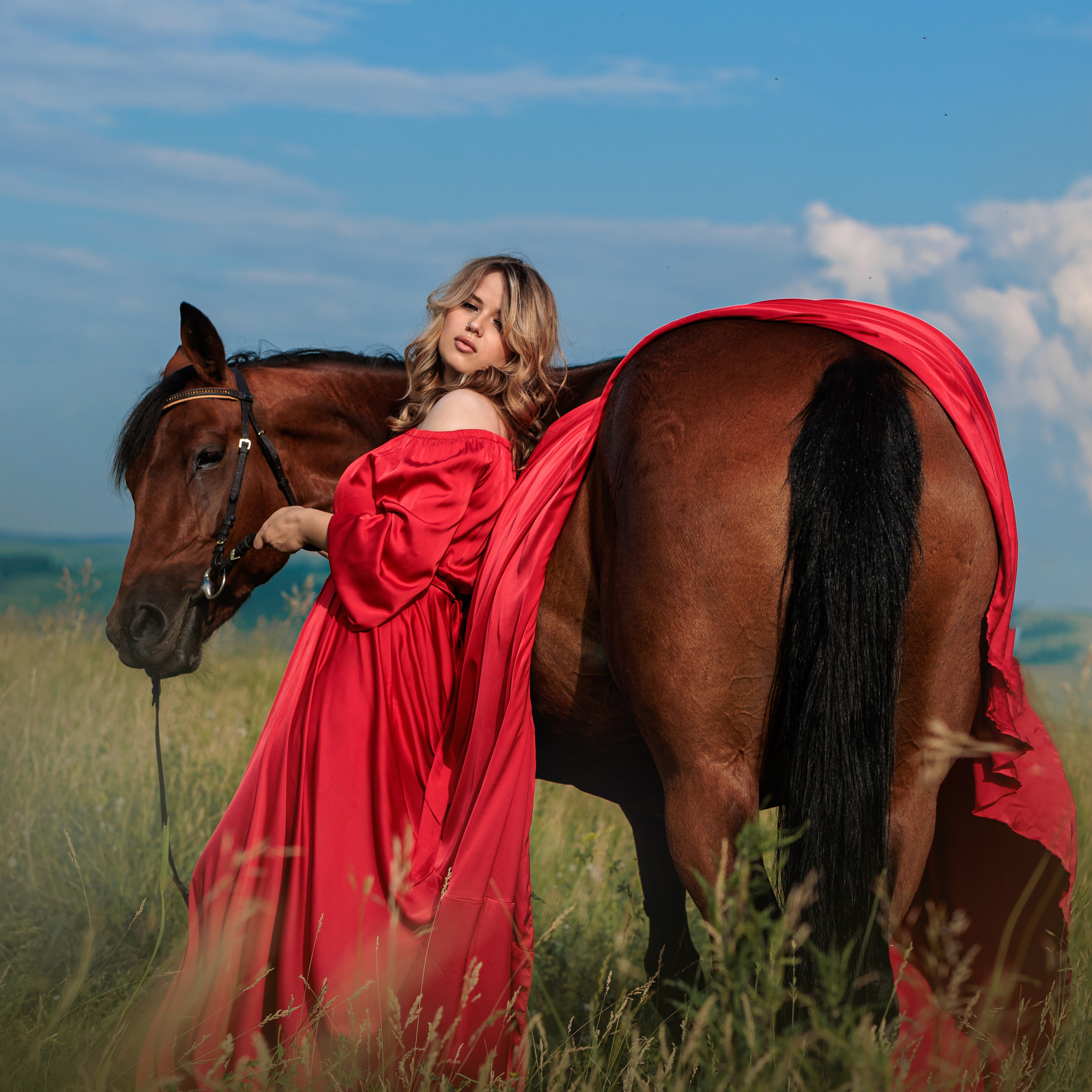 Донские конюшни