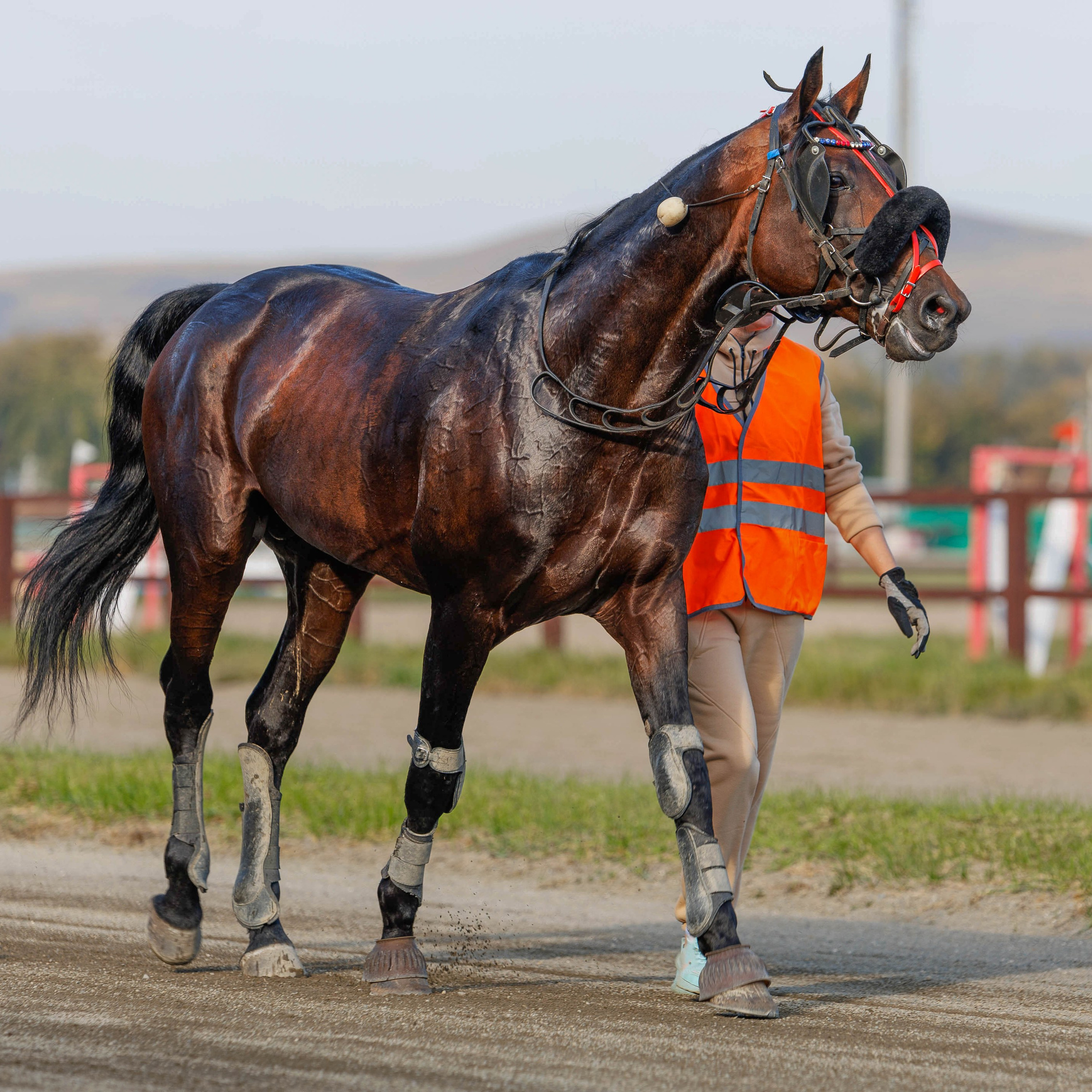 Зарисовки-БСК Абакан 2024