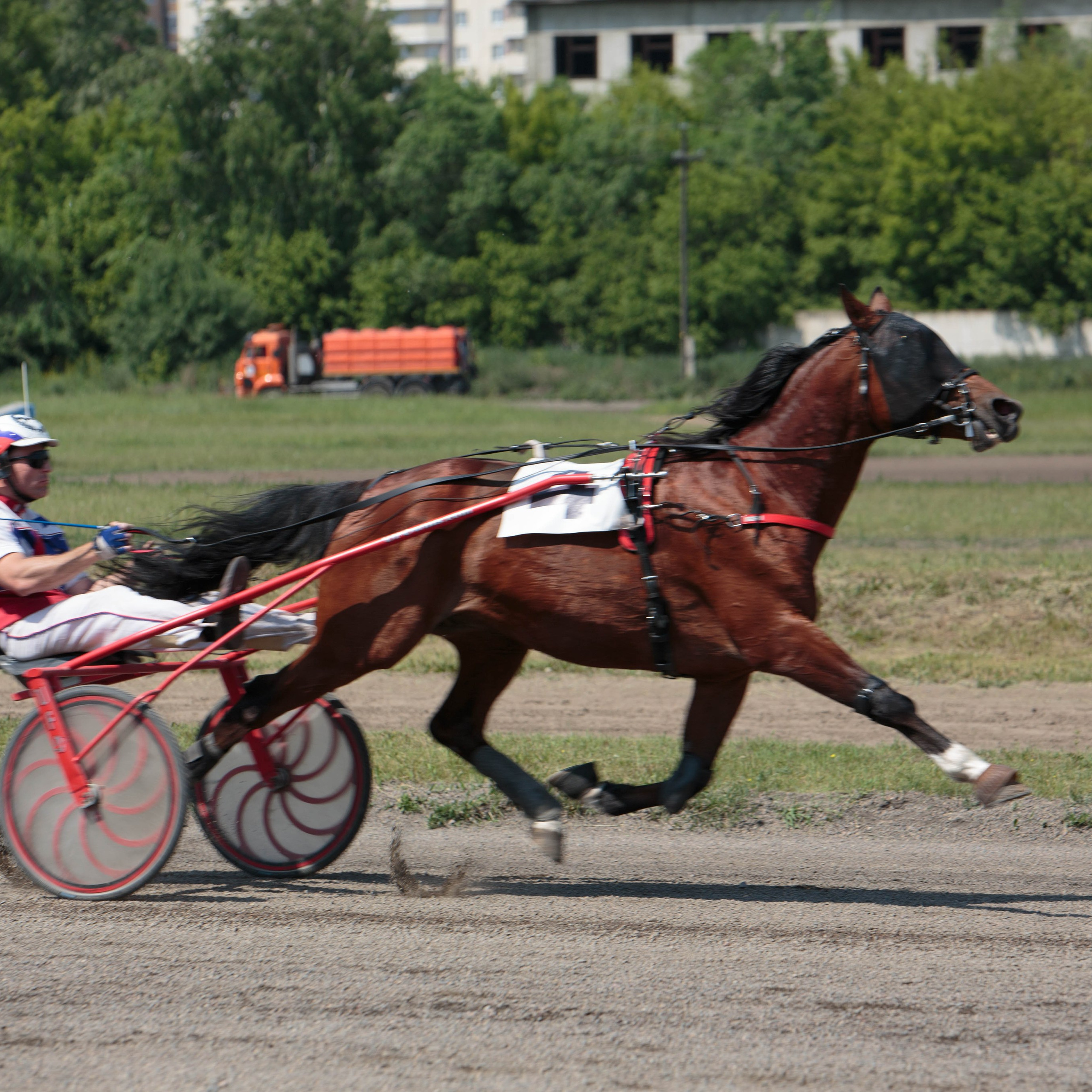 Отзывы. Конный фотограф в Красноярске — Любовь Похабова