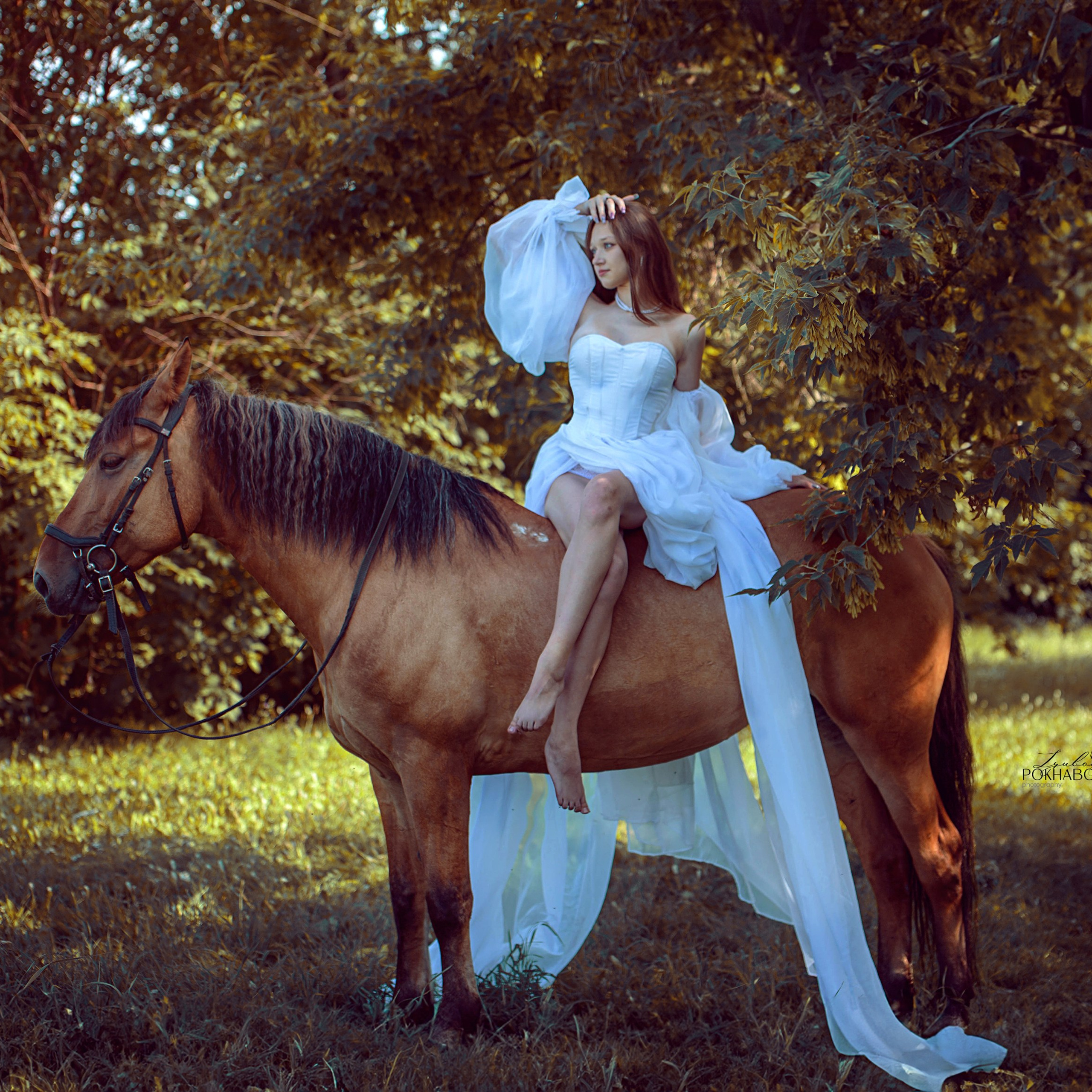 Отзывы. Конный фотограф в Красноярске — Любовь Похабова