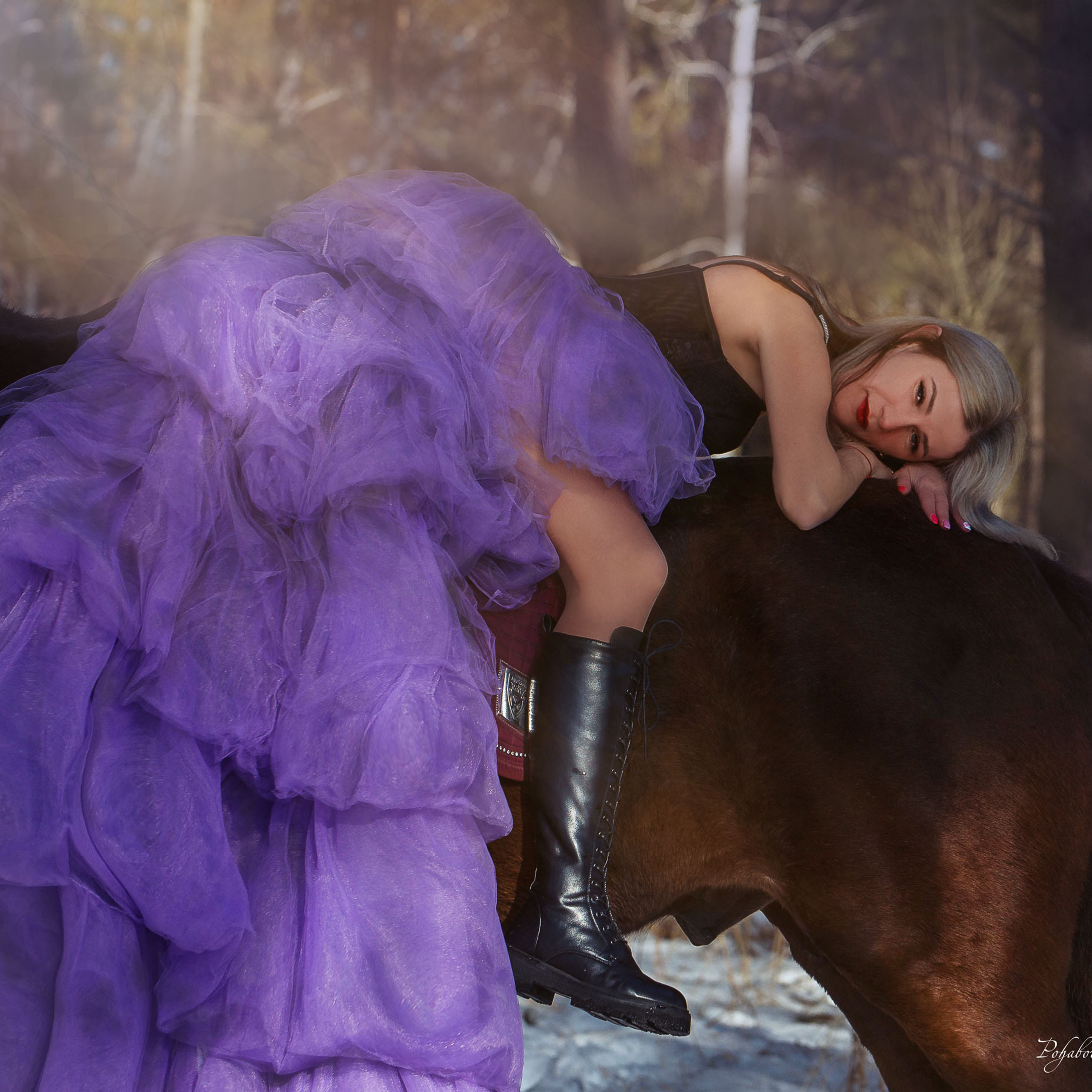 Отзывы. Конный фотограф в Красноярске — Любовь Похабова