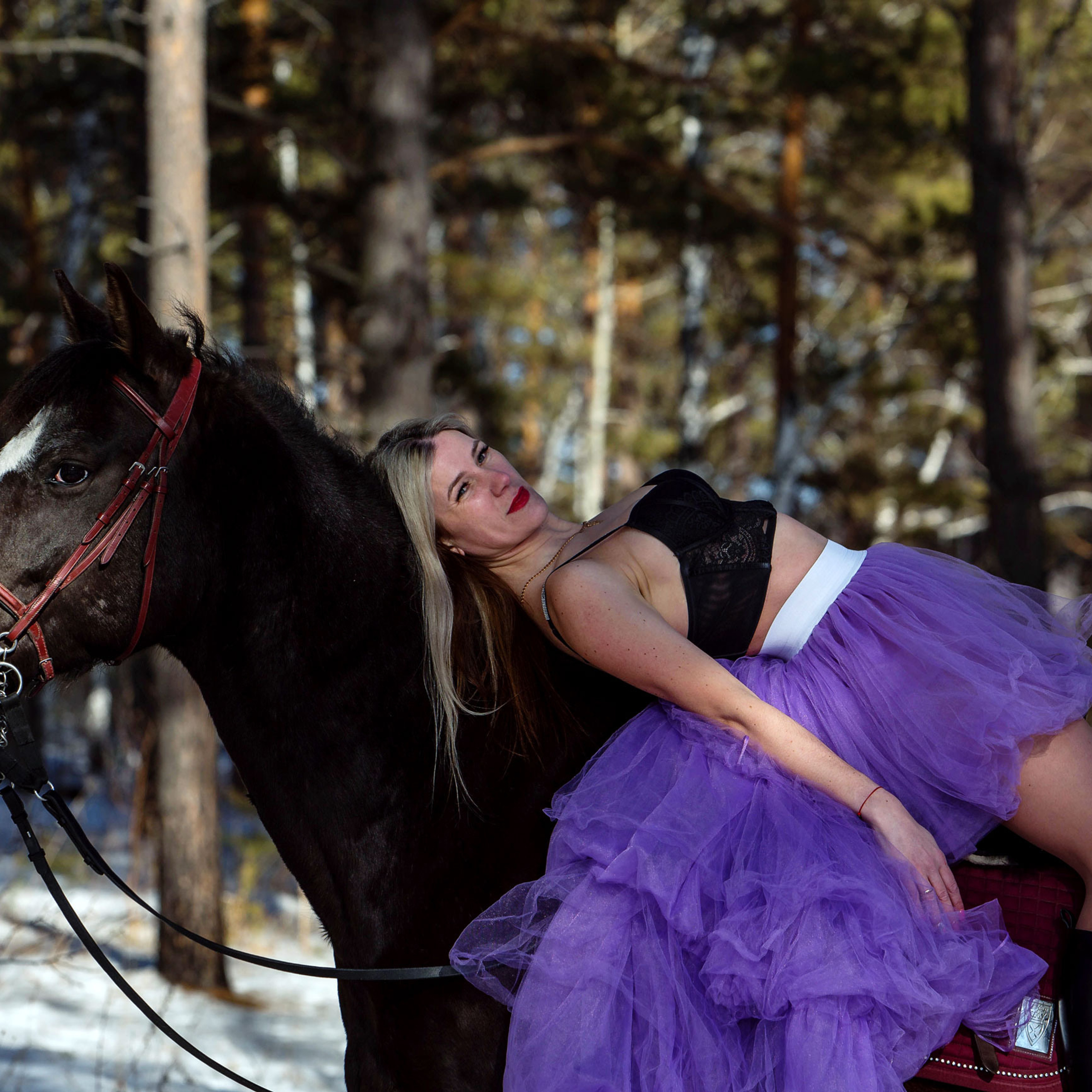 КСК Золотой Мустанг