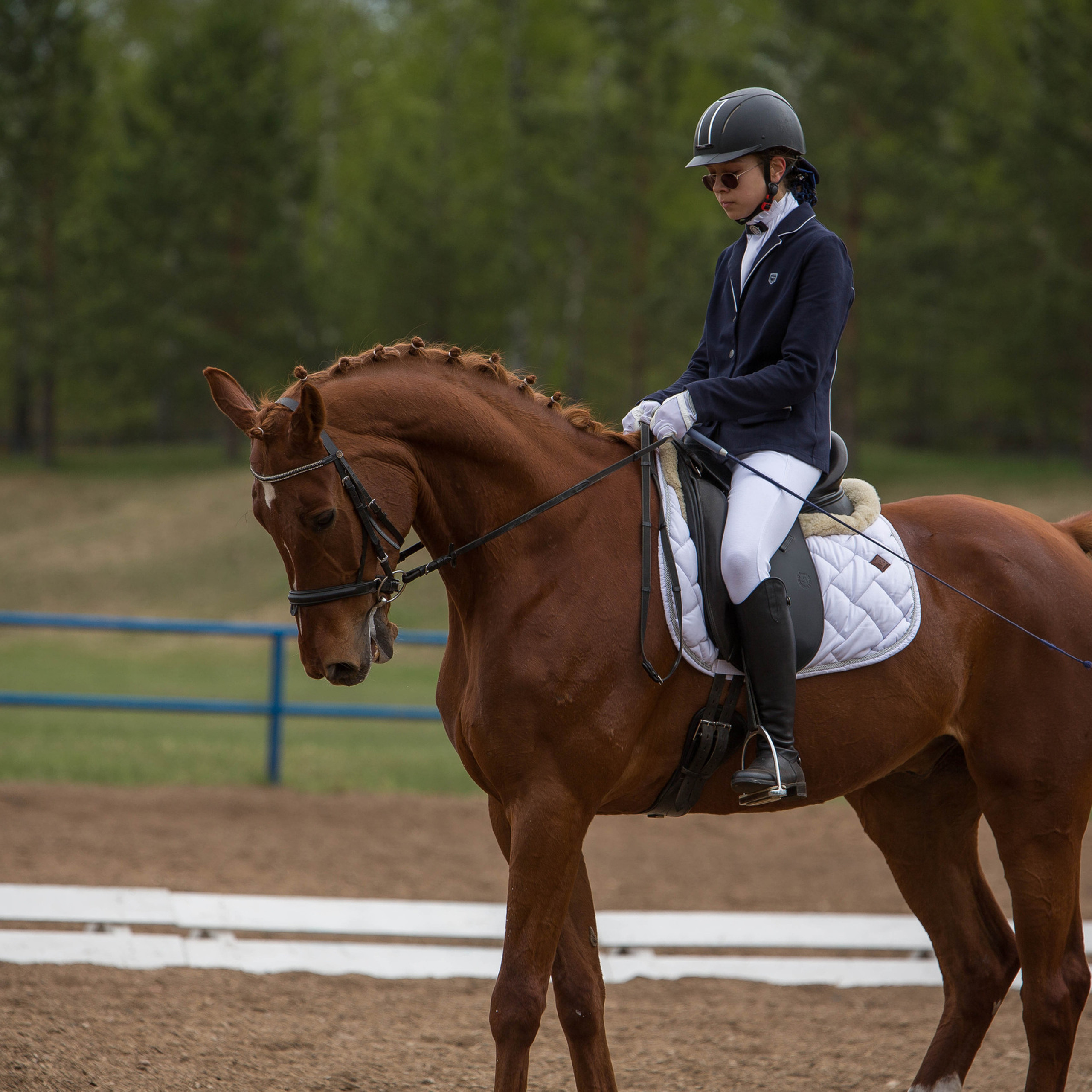Отзывы. Конный фотограф в Красноярске — Любовь Похабова