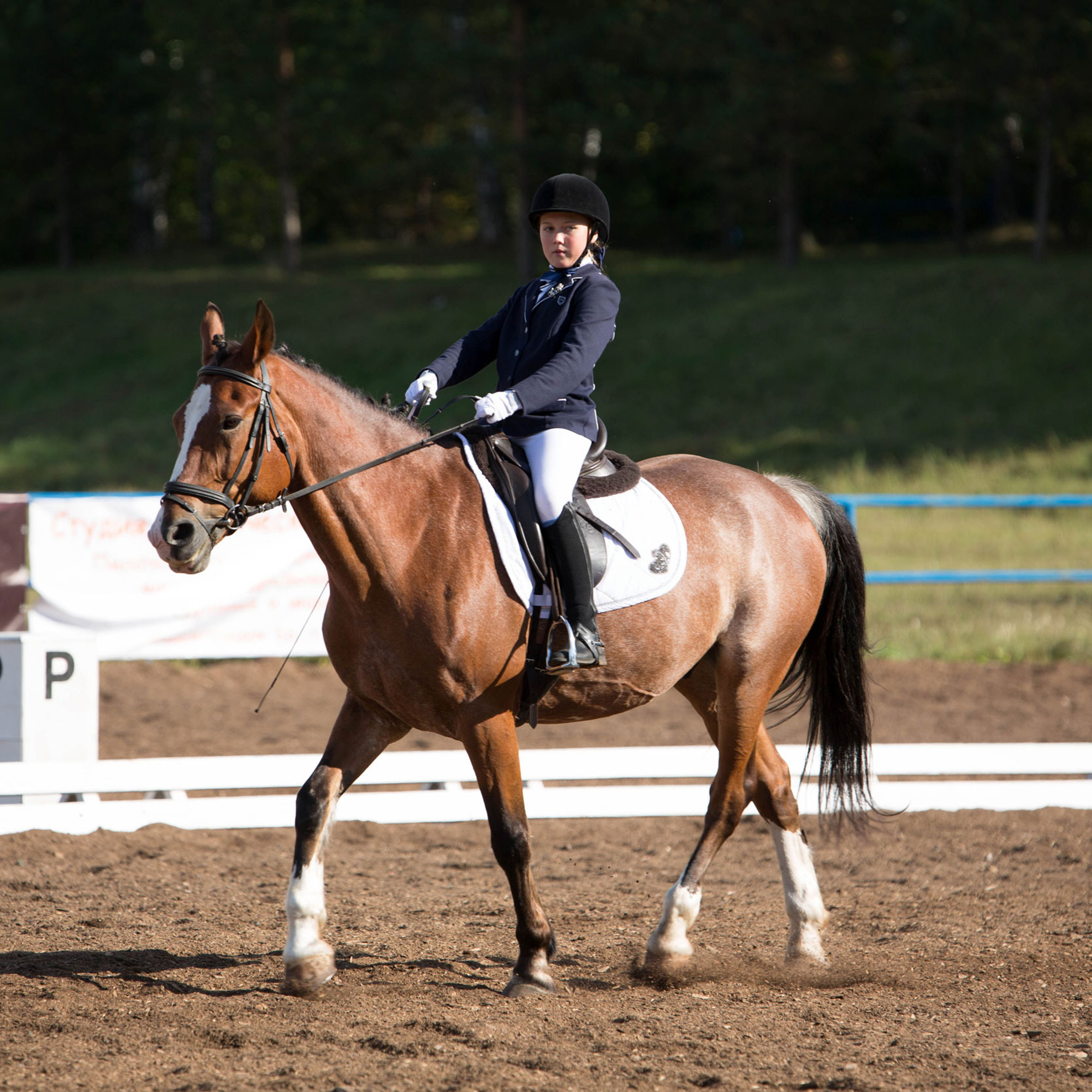 Отзывы. Конный фотограф в Красноярске — Любовь Похабова