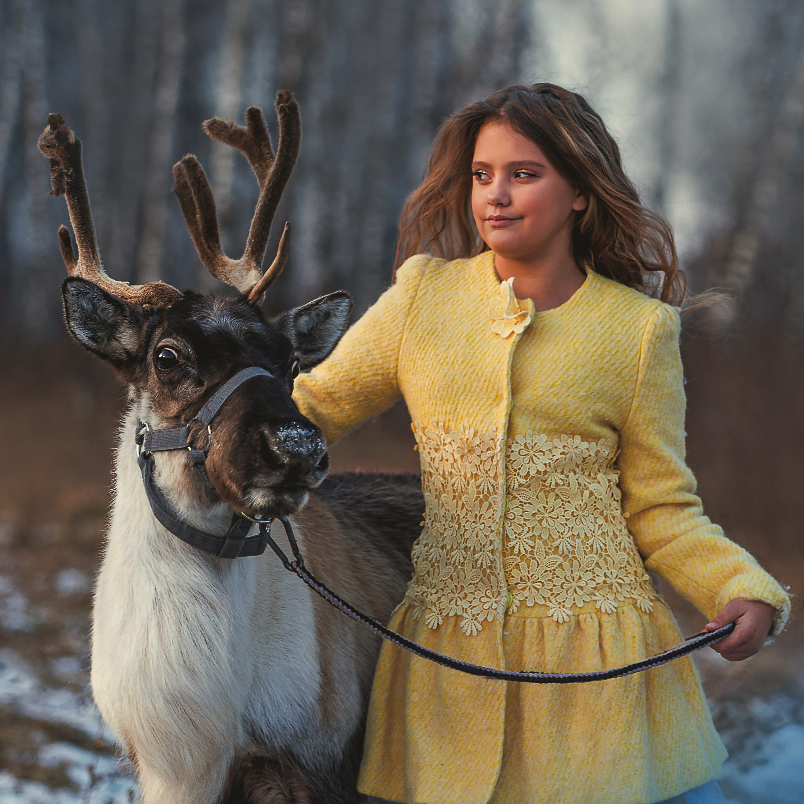 олениха Нося 2024