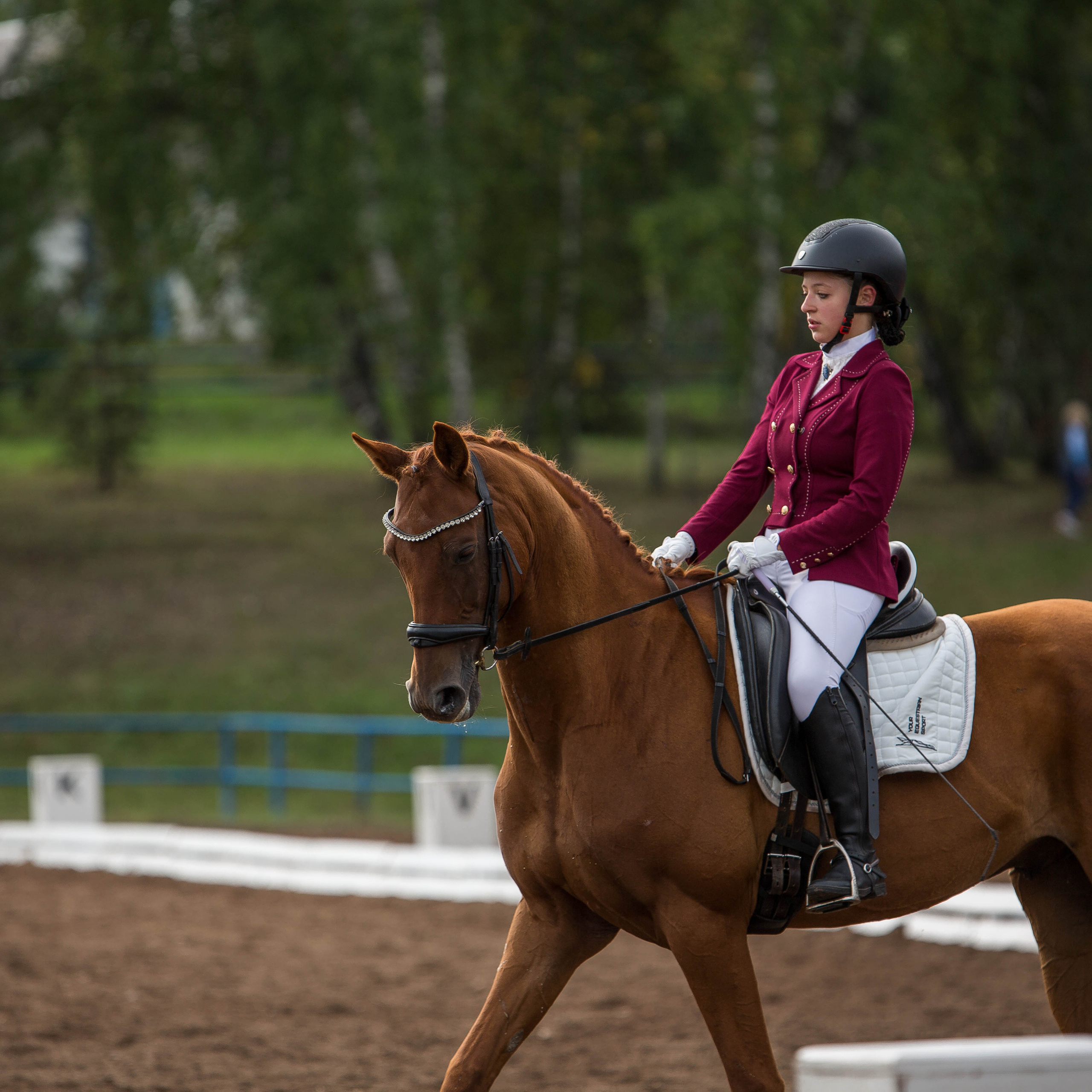 Отзывы. Конный фотограф в Красноярске — Любовь Похабова