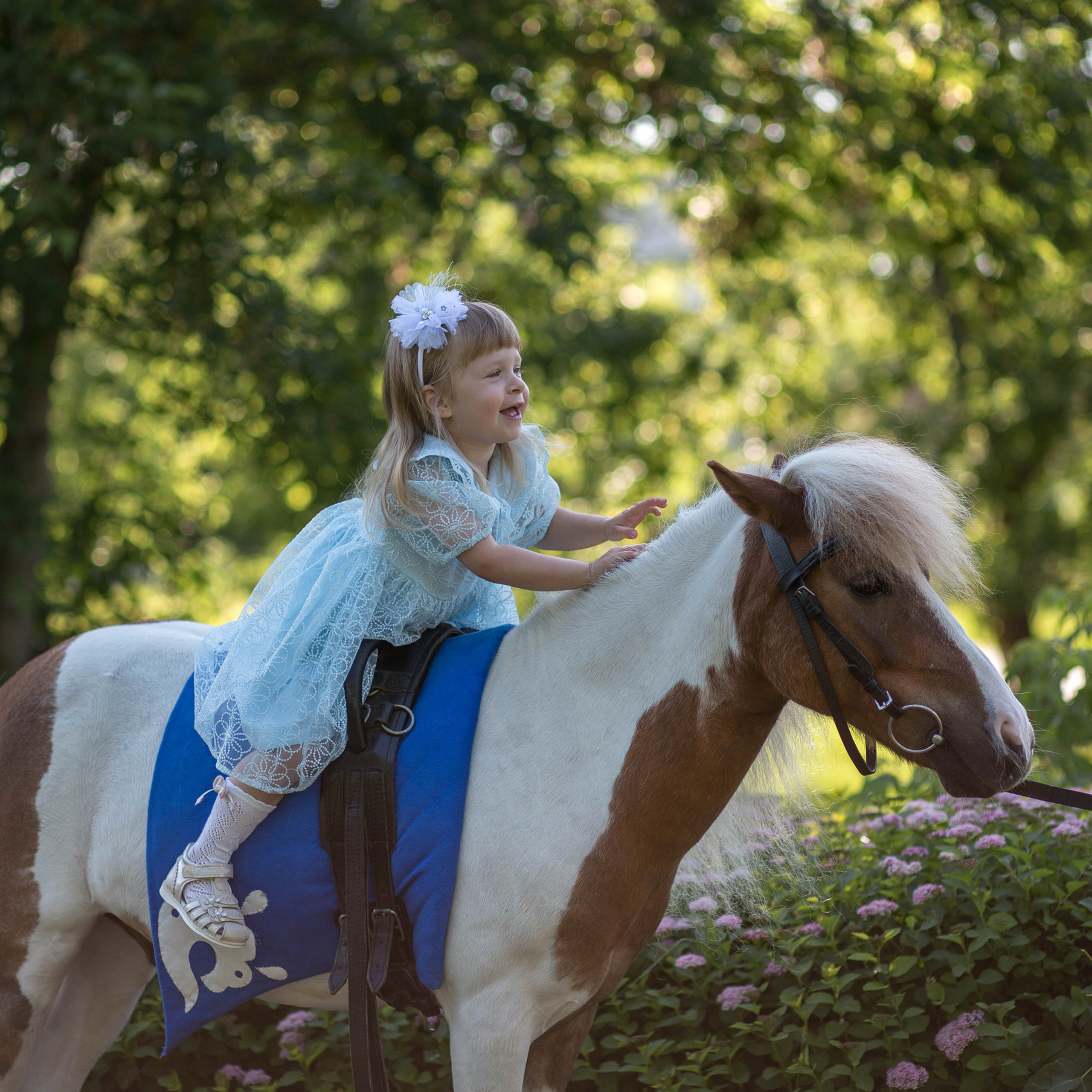 Отзывы. Конный фотограф в Красноярске — Любовь Похабова
