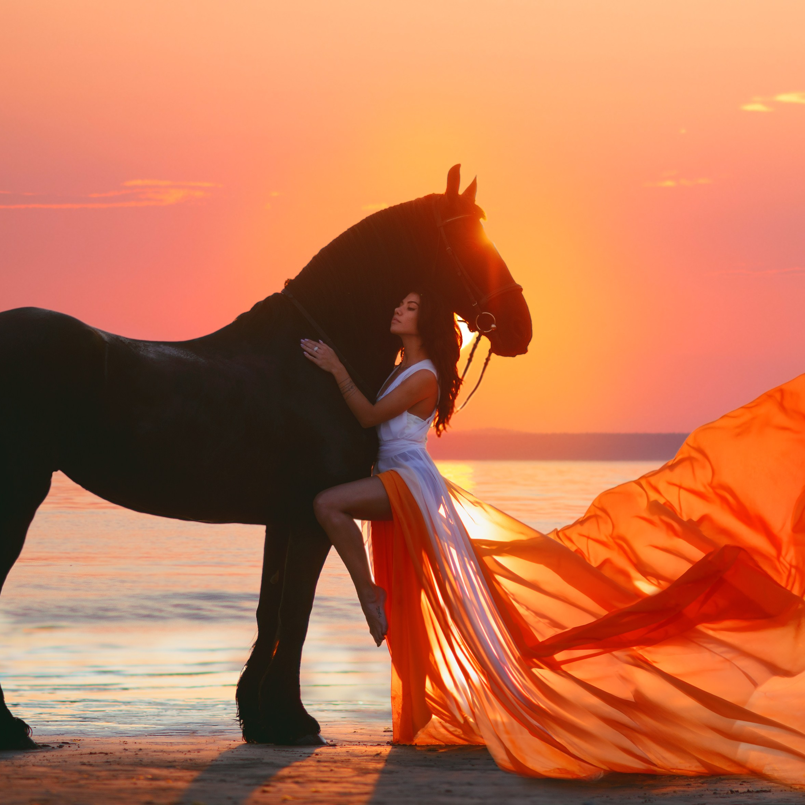 Обучение у DixiLarina