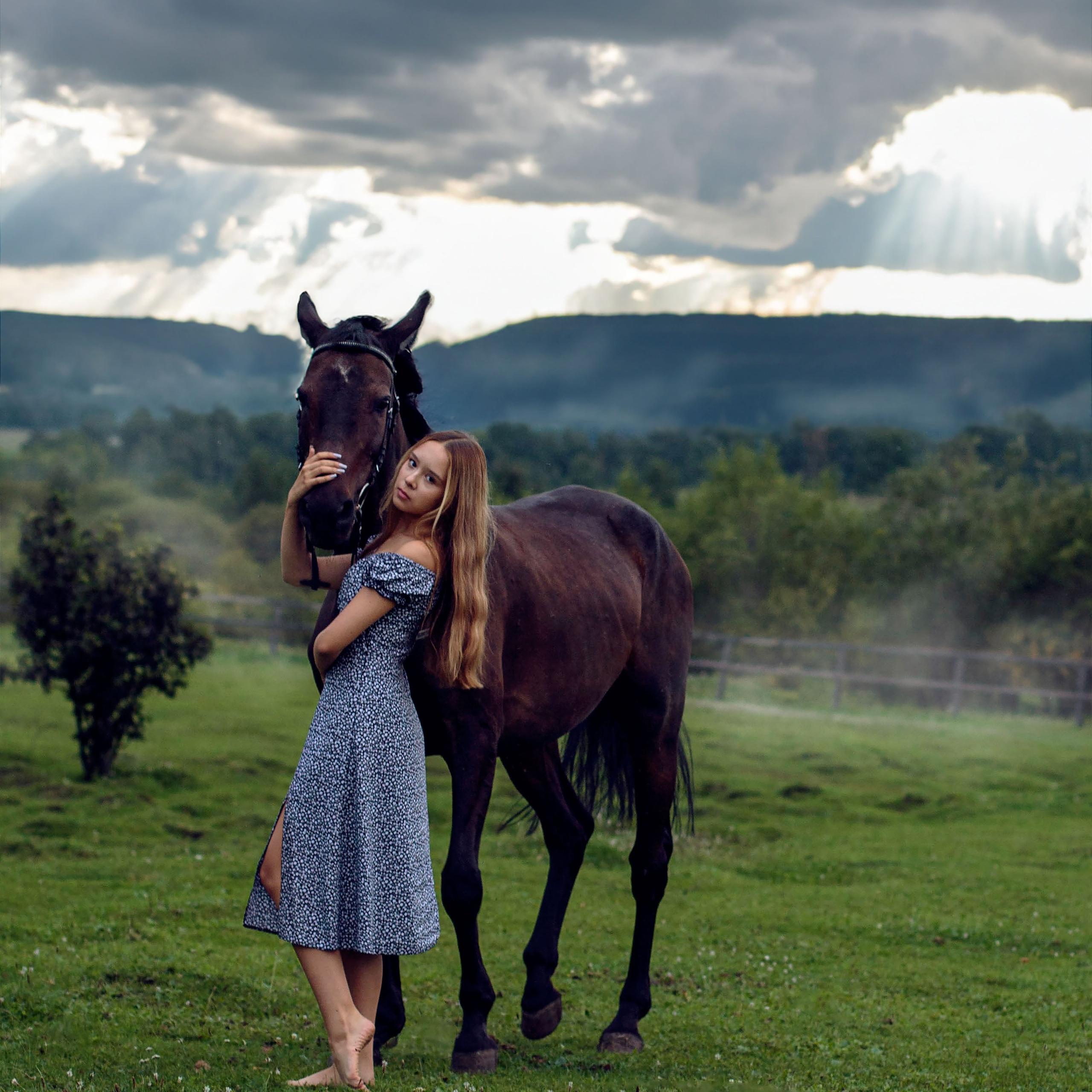 Конный двор