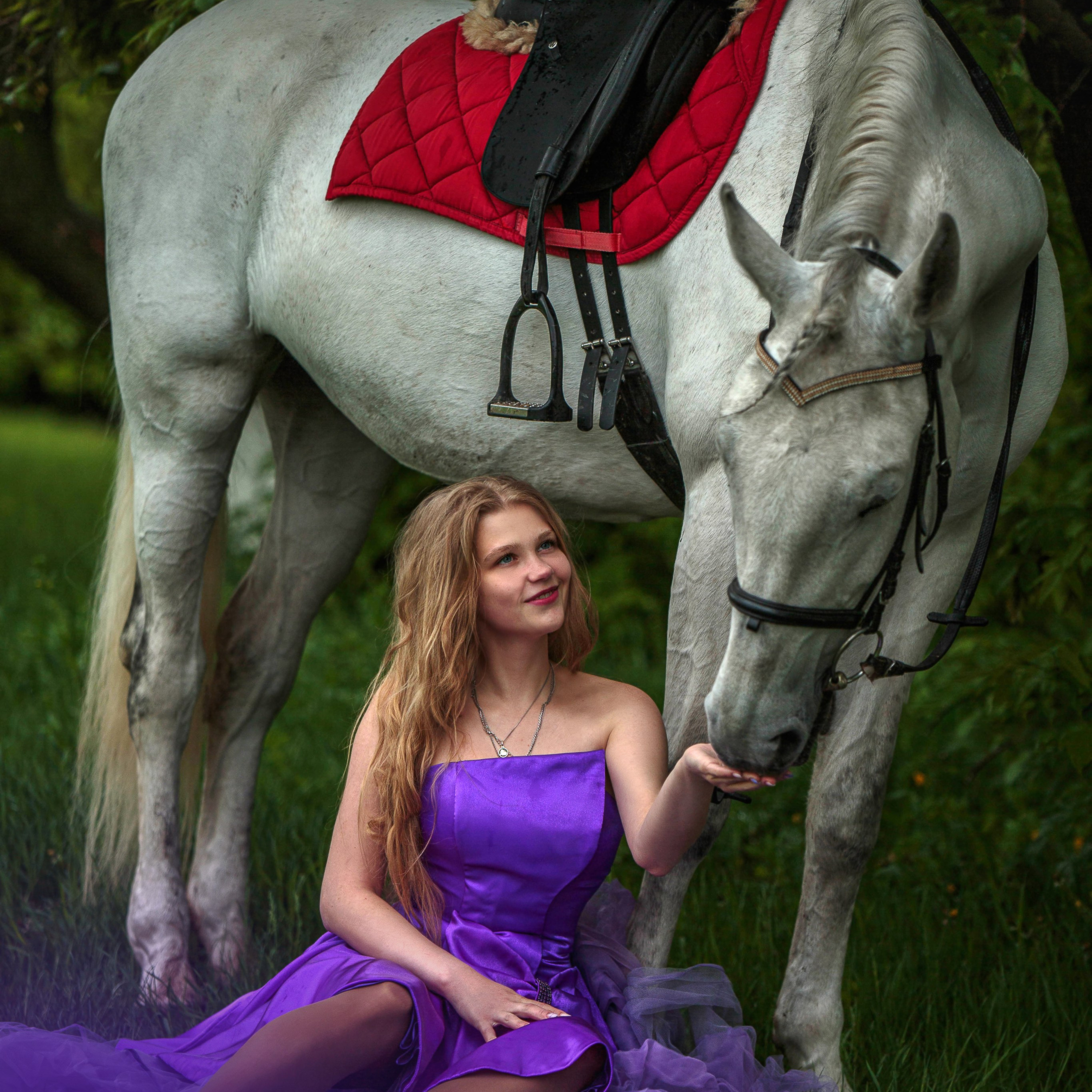 Отзывы. Конный фотограф в Красноярске — Любовь Похабова