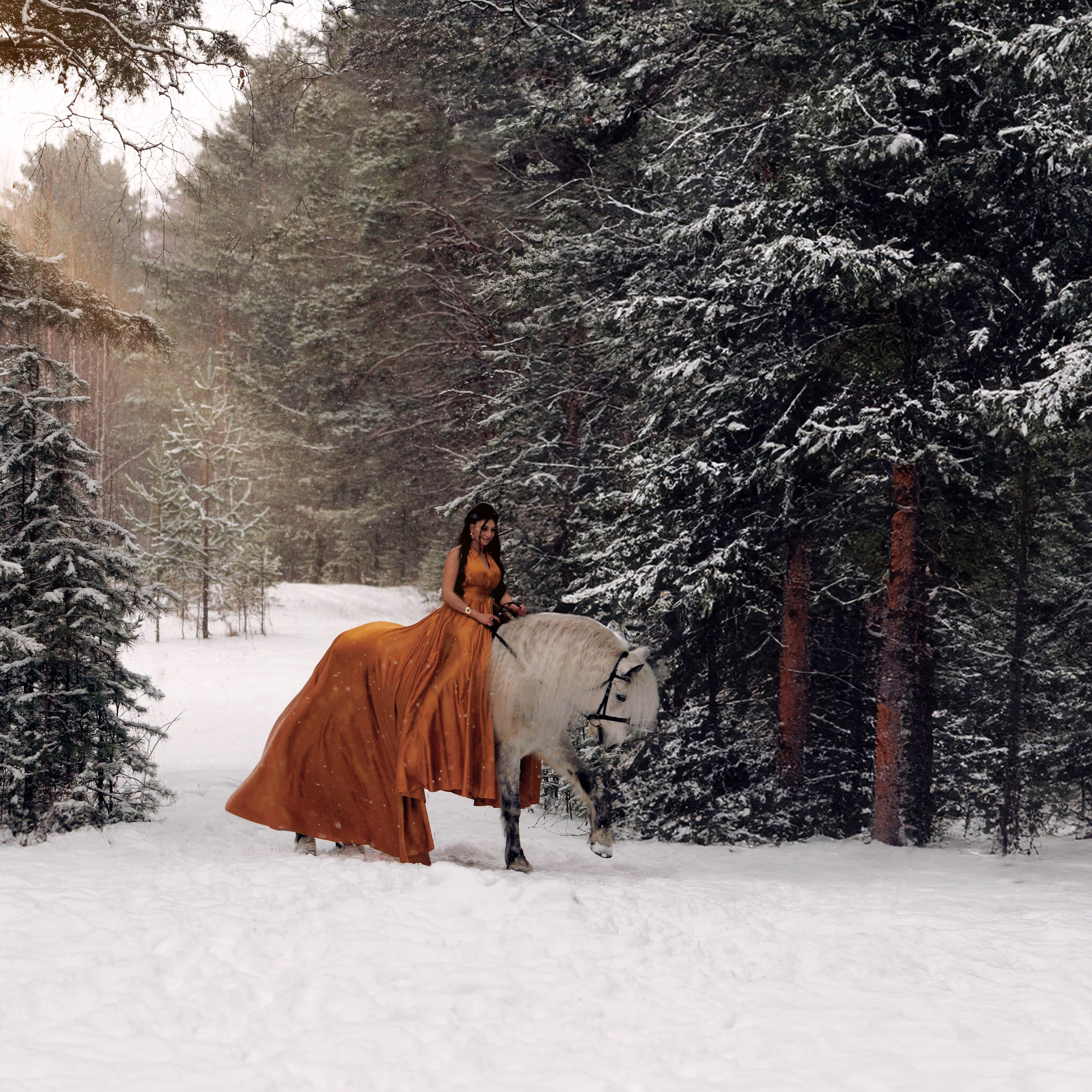 Отзывы. Конный фотограф в Красноярске — Любовь Похабова