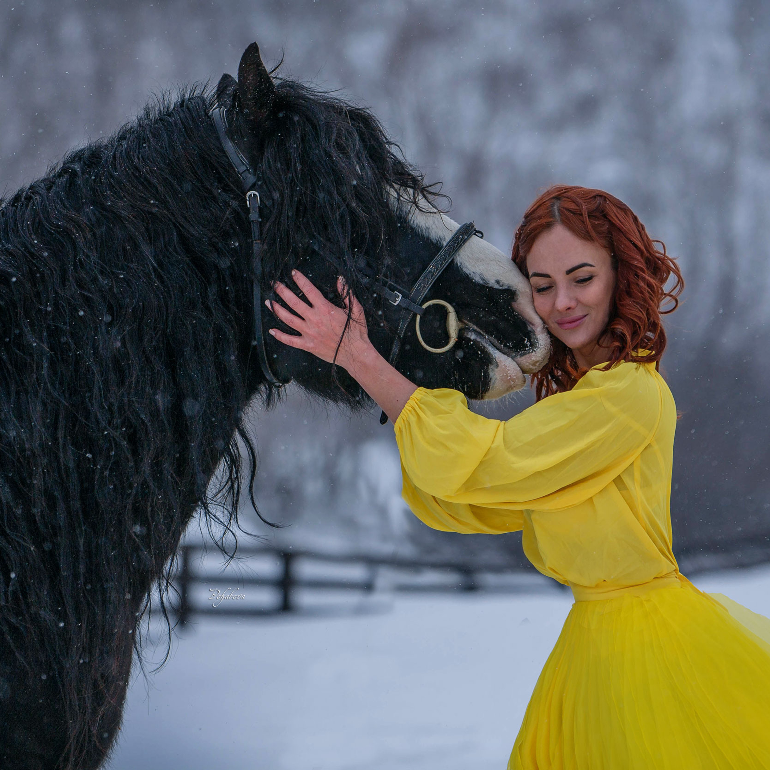 Отзывы. Конный фотограф в Красноярске — Любовь Похабова