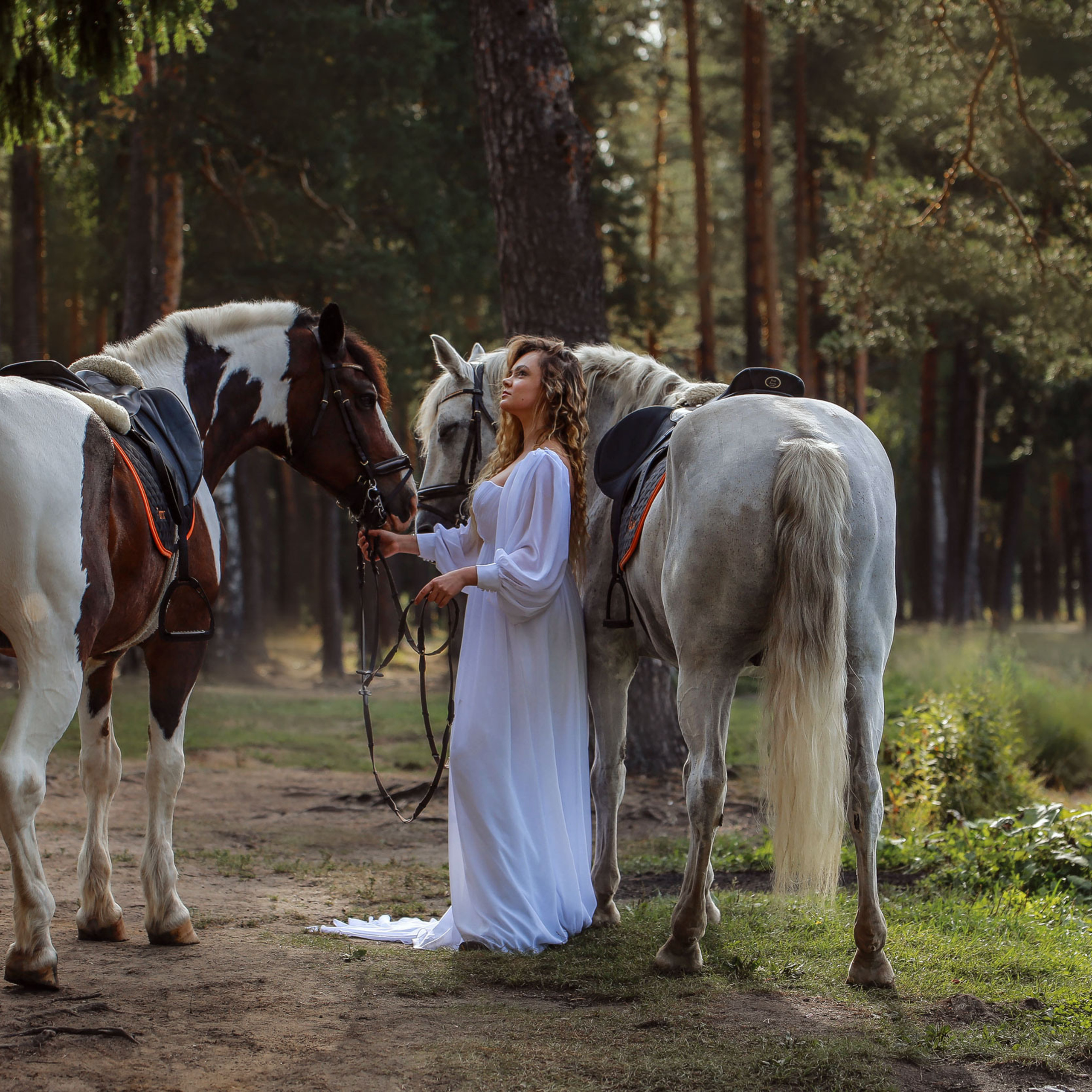 г.&nbsp;СПБ КСК Ерельки