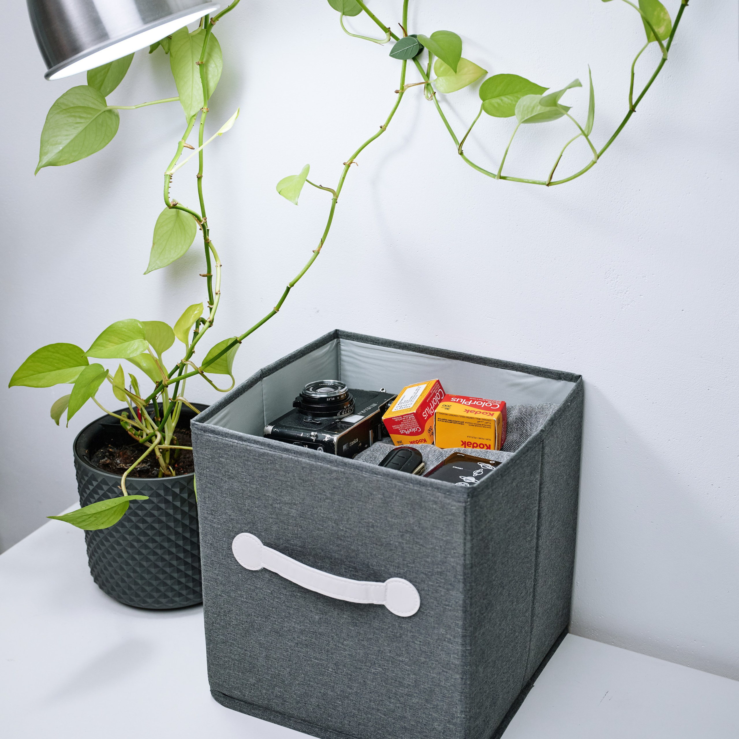 HOME. Продюсер/Александрова Елизавета