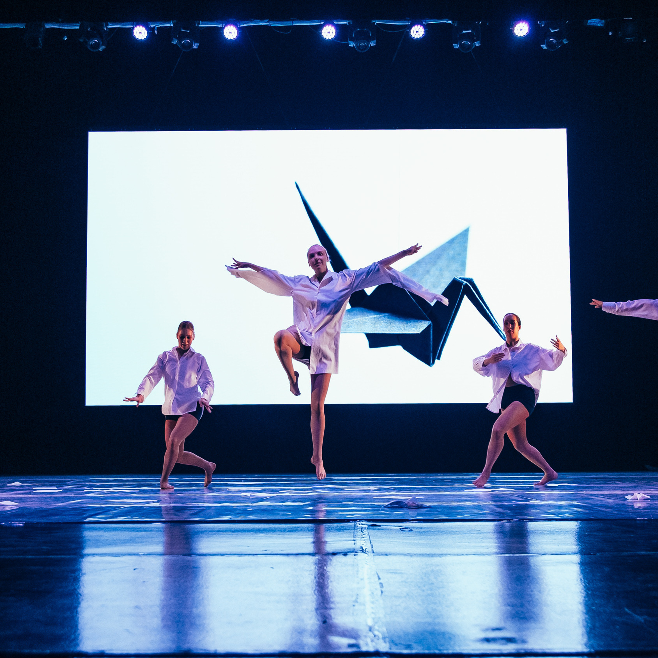 «ВСЛЕД ЗА НАМИ». Фотограф Алтай — Айсур Баксаргин