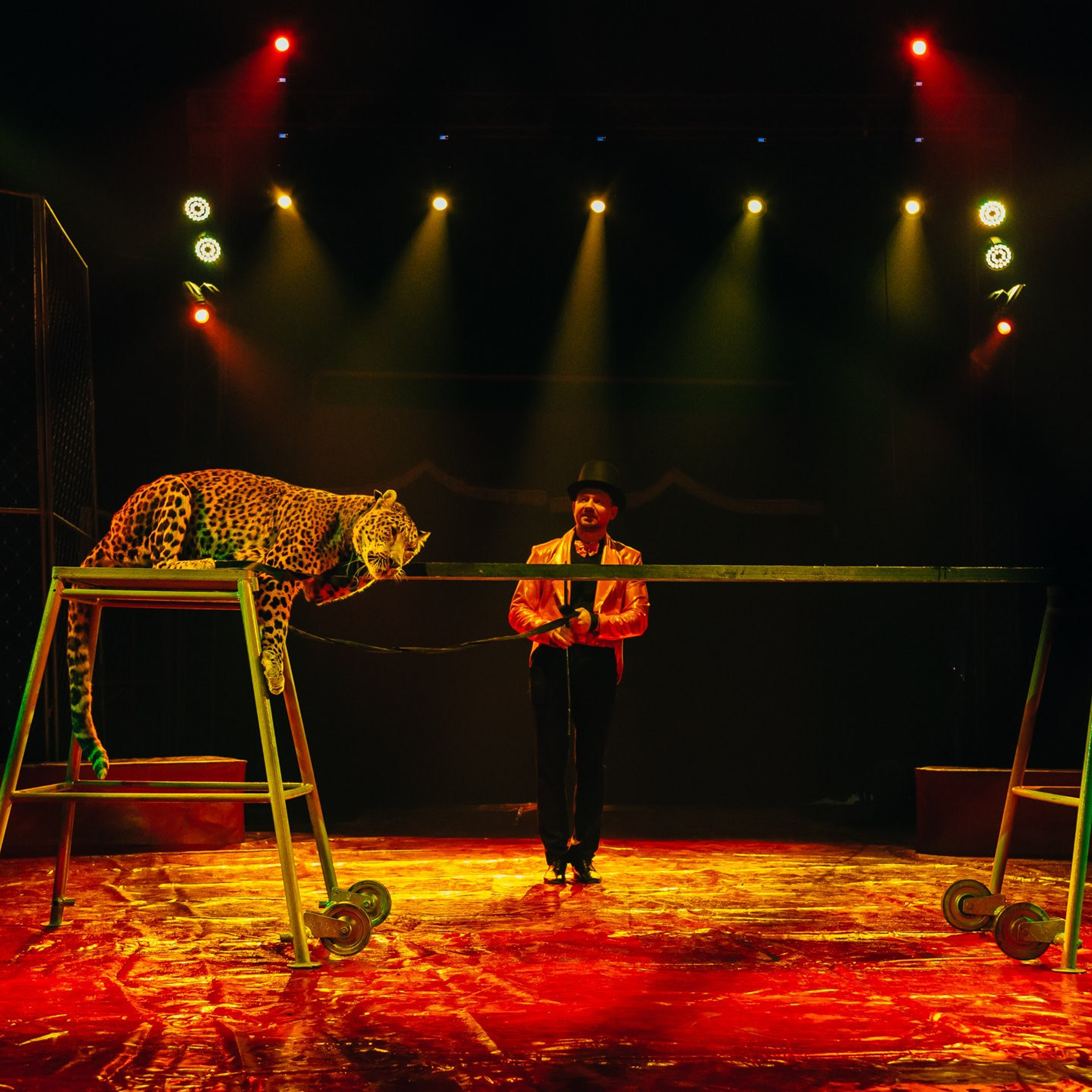 ЦИРК. Фотограф Алтай — Айсур Баксаргин