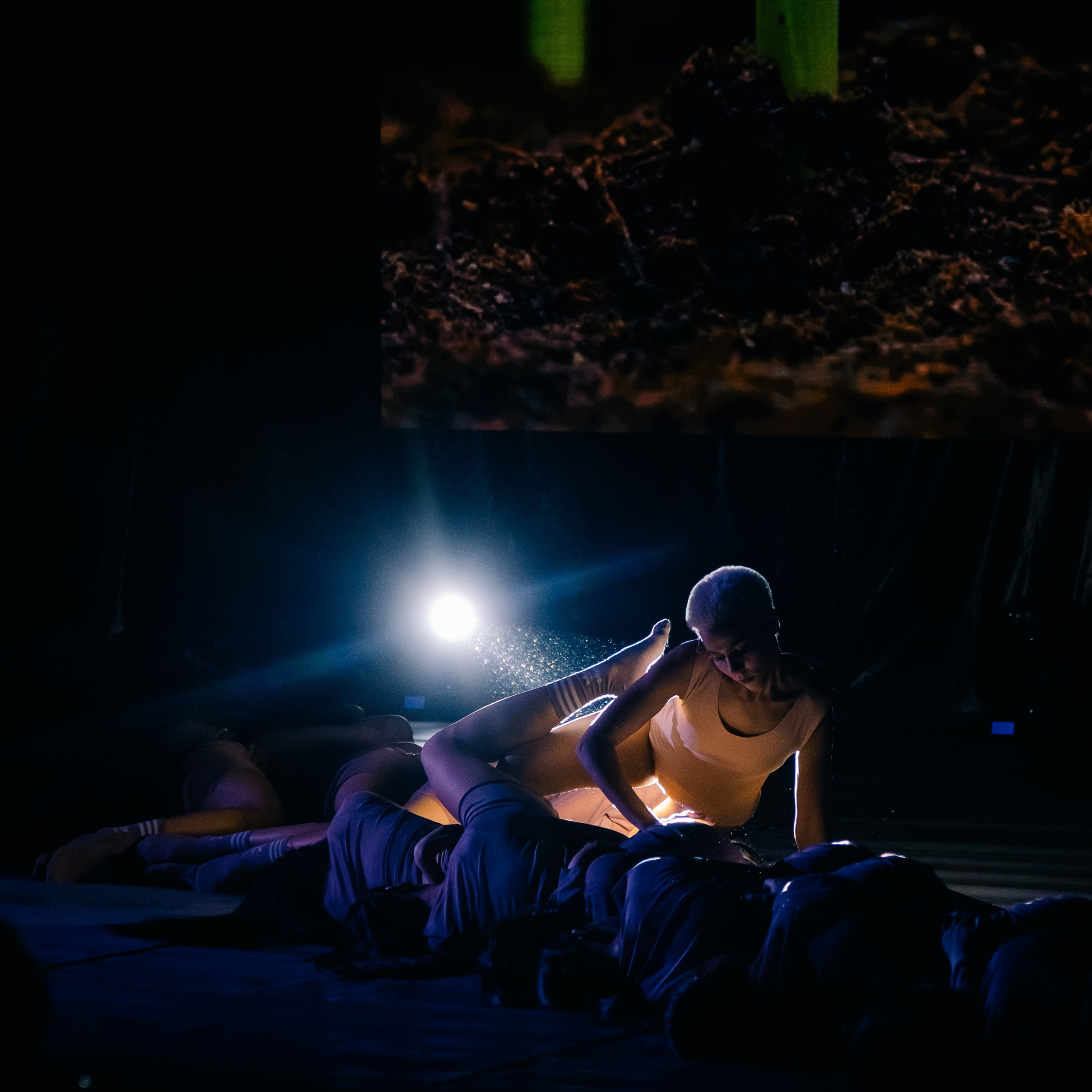 СappuchinoDance. Фотограф Алтай — Айсур Баксаргин