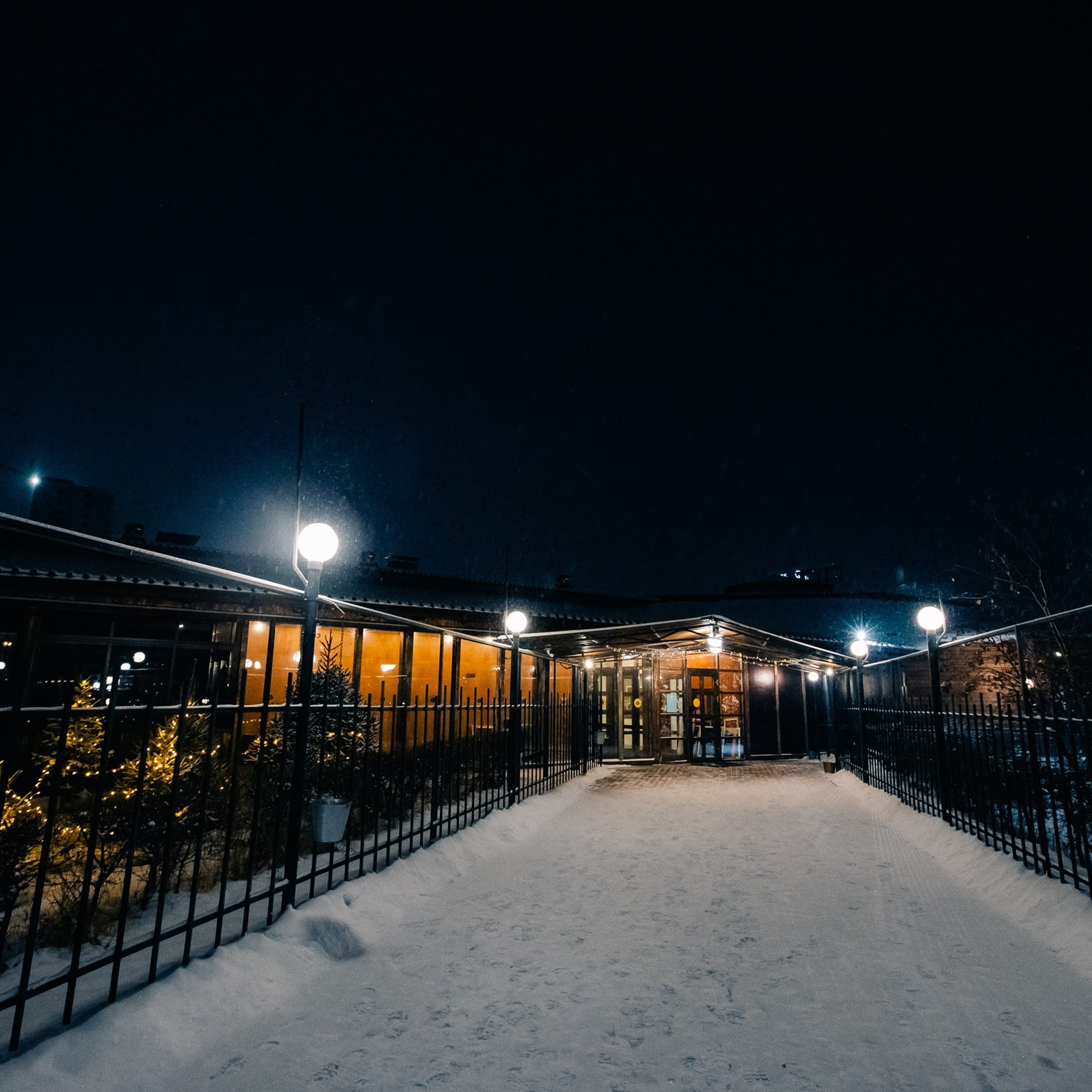 Корпоратив «Диамед». Фотограф Алтай — Айсур Баксаргин