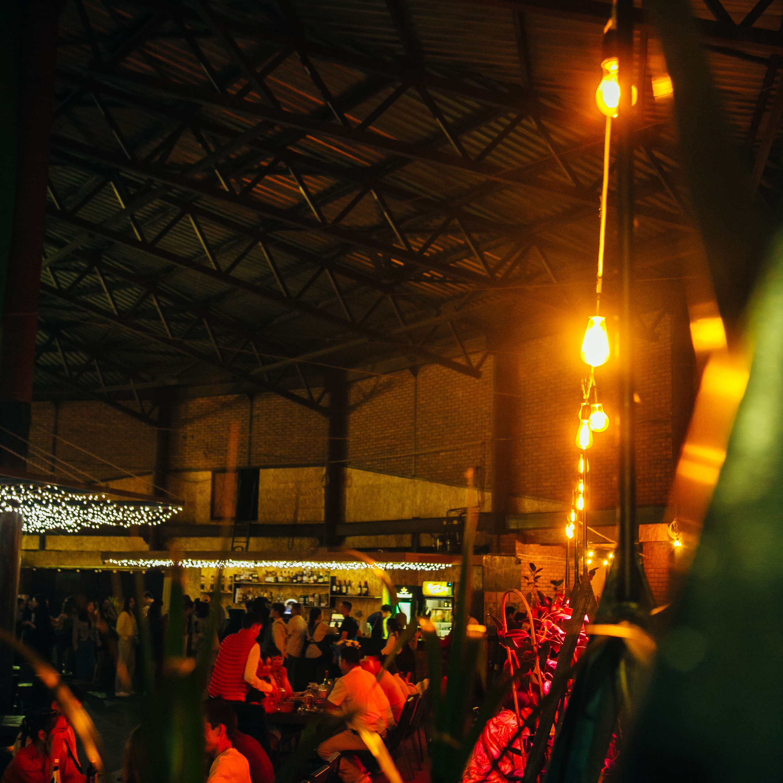 Aya.Fest. Фотограф Алтай — Айсур Баксаргин