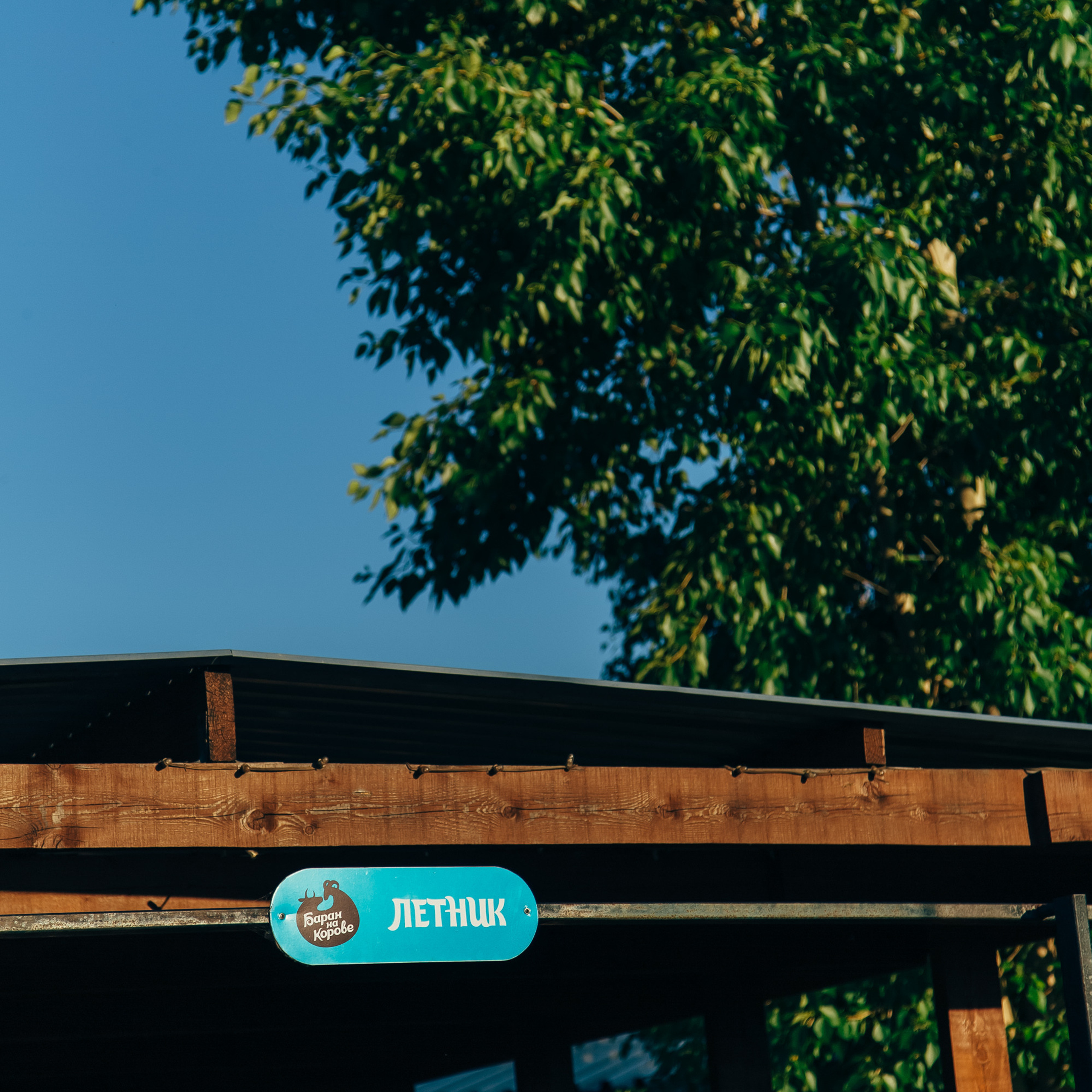 Aya.Fest. Фотограф Алтай — Айсур Баксаргин