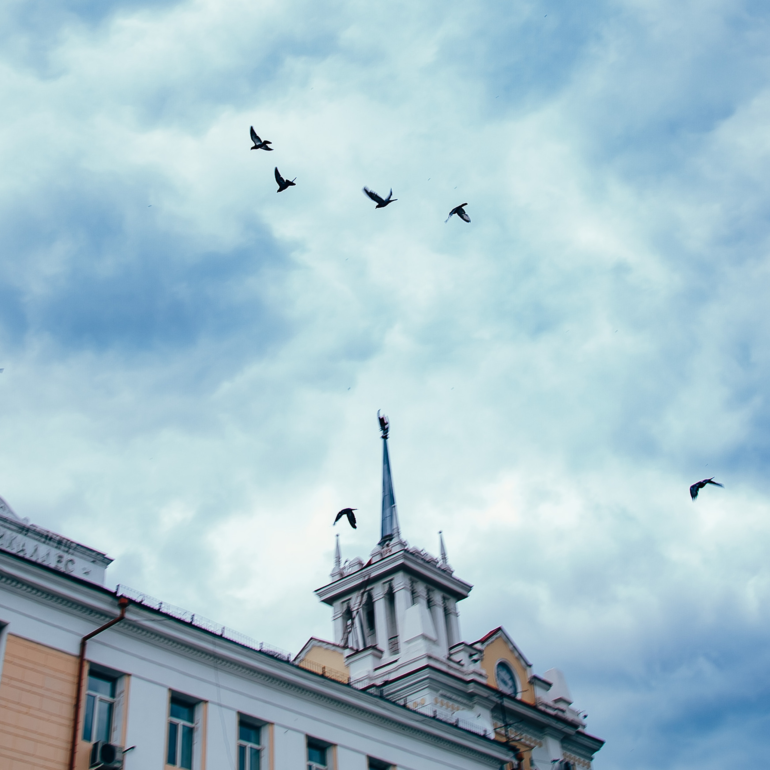 Цырен & Улзы. Фотограф Алтай — Айсур Баксаргин