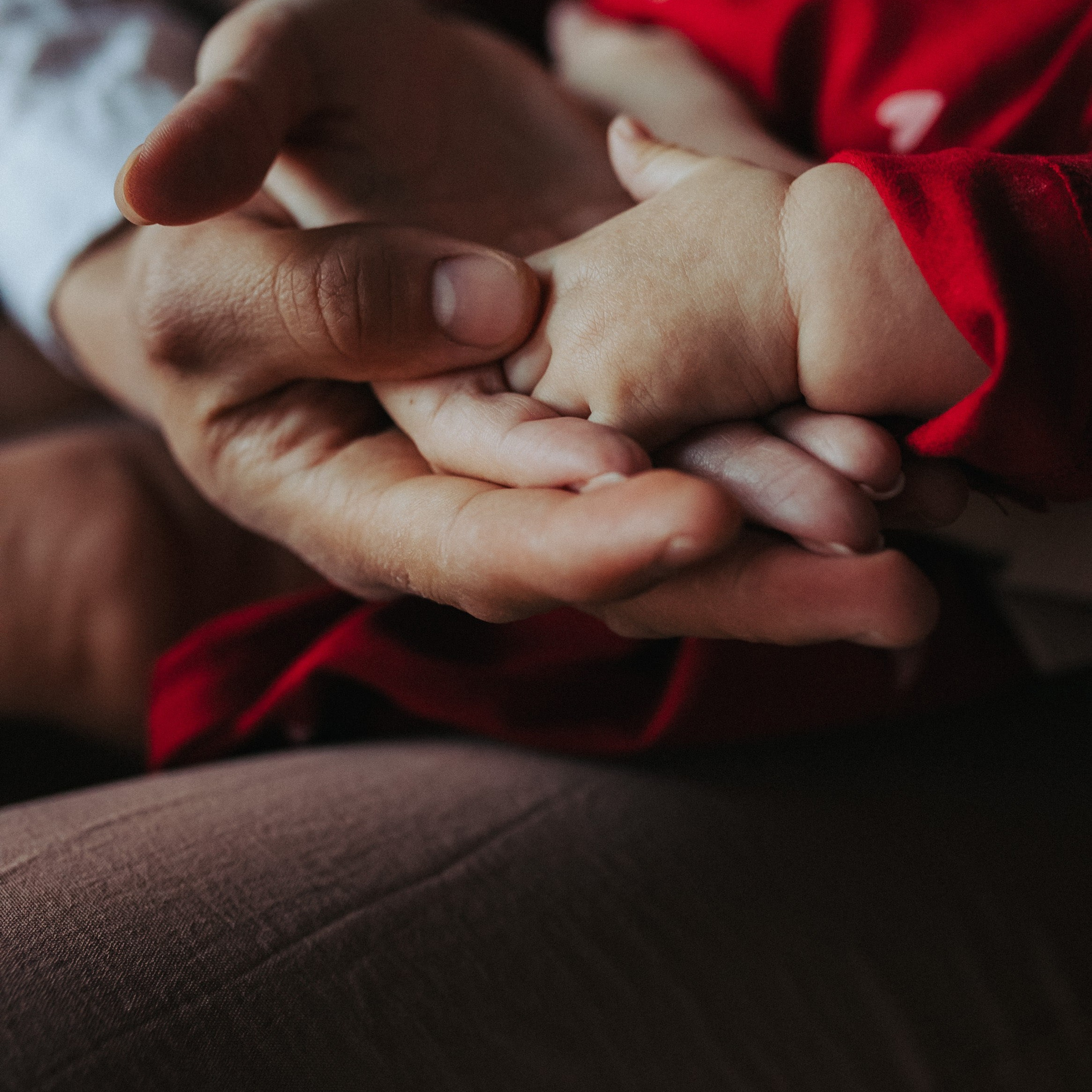 Семейная. Фотограф Алтай — Айсур Баксаргин