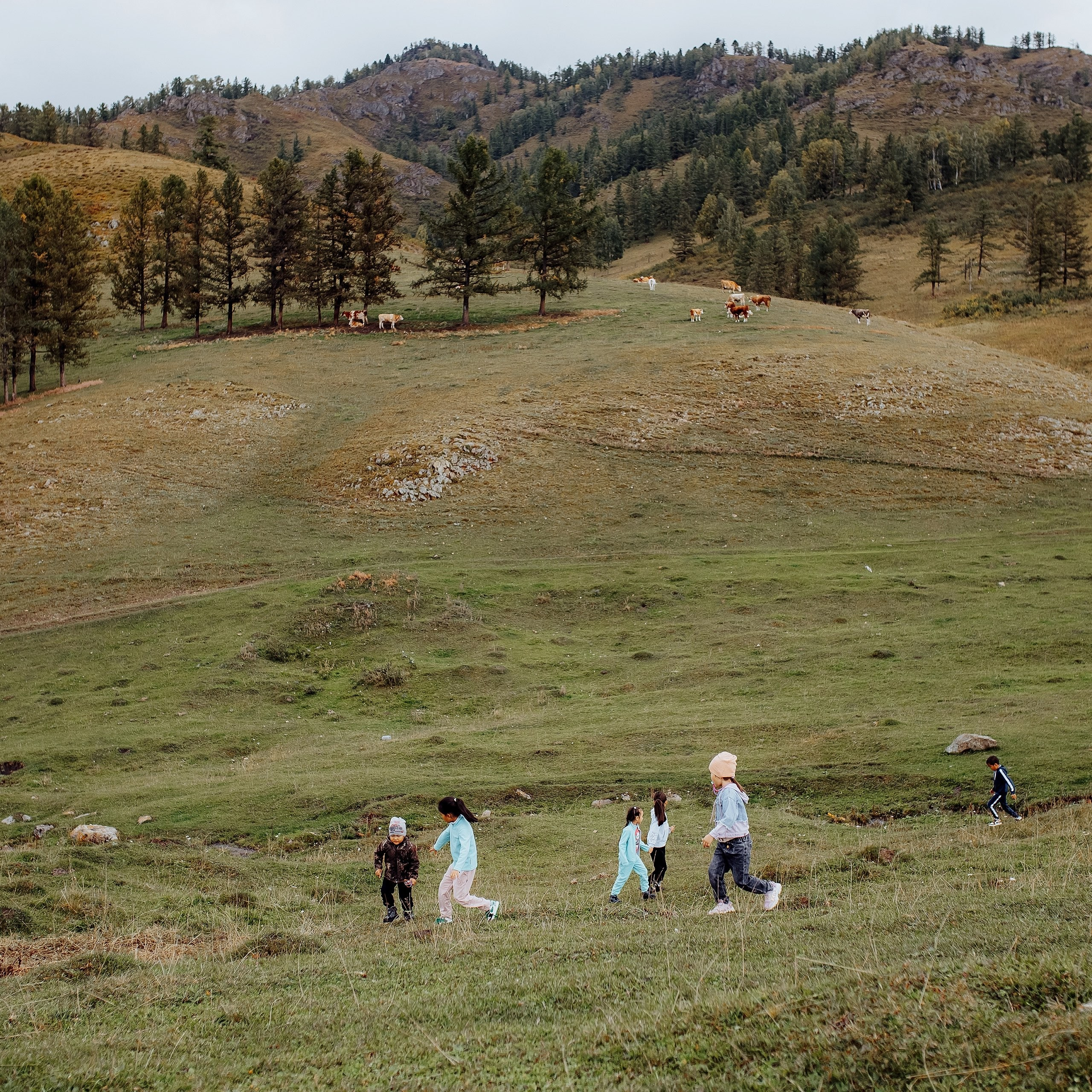 Койу Кочо. Фотограф Алтай — Айсур Баксаргин