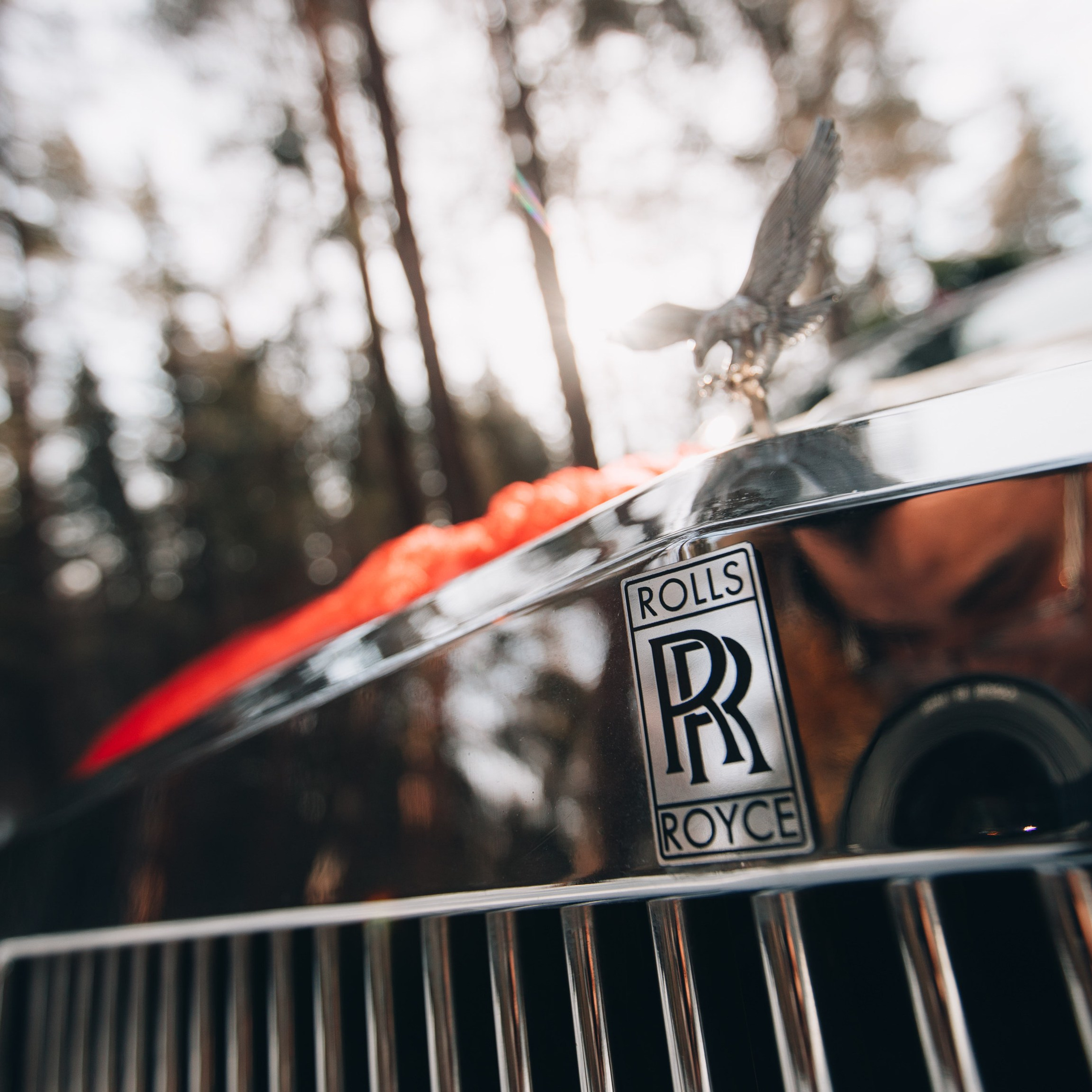 Nikita & Anastasia. Фотограф Алтай — Айсур Баксаргин