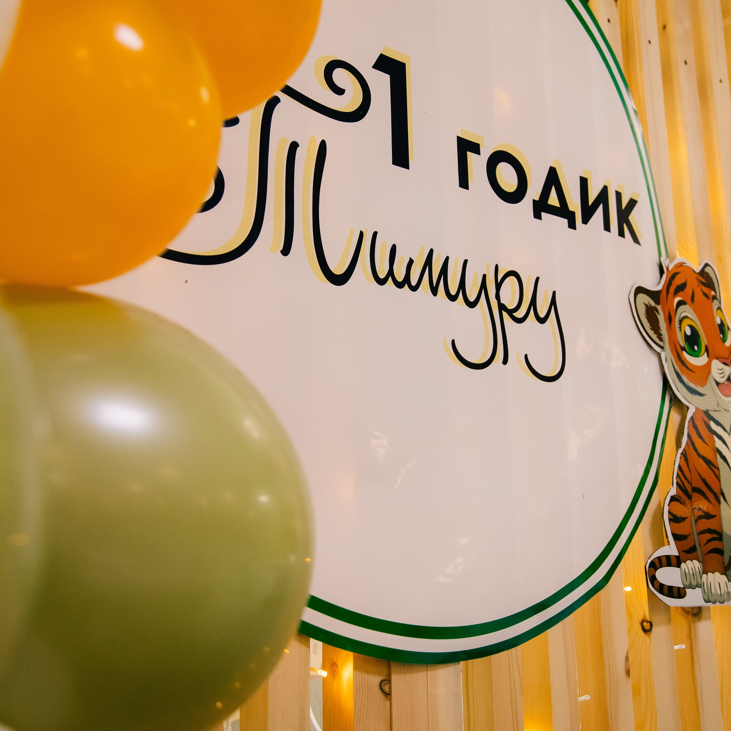 ТИМУР. Фотограф Алтай — Айсур Баксаргин