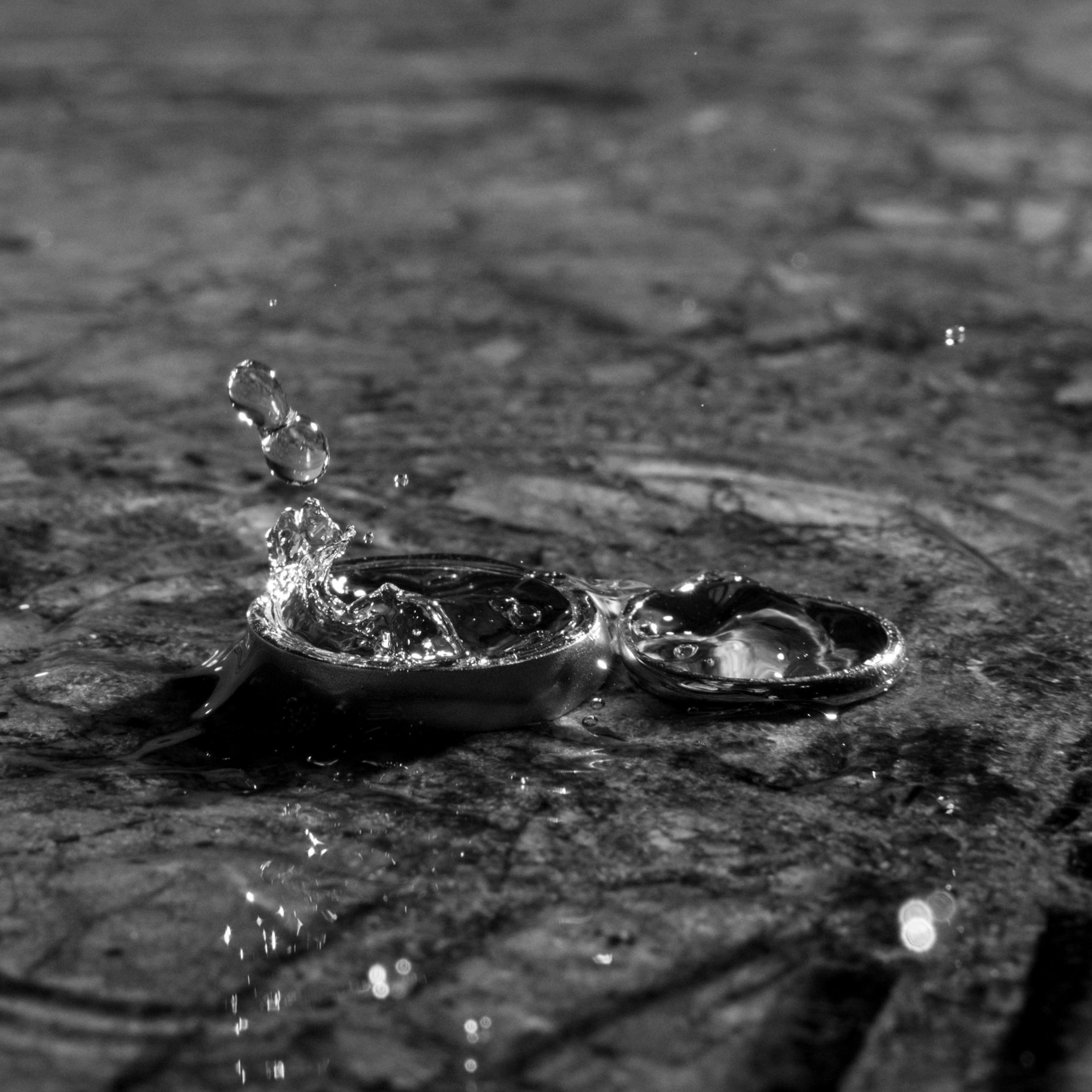 Константин и Екатерина