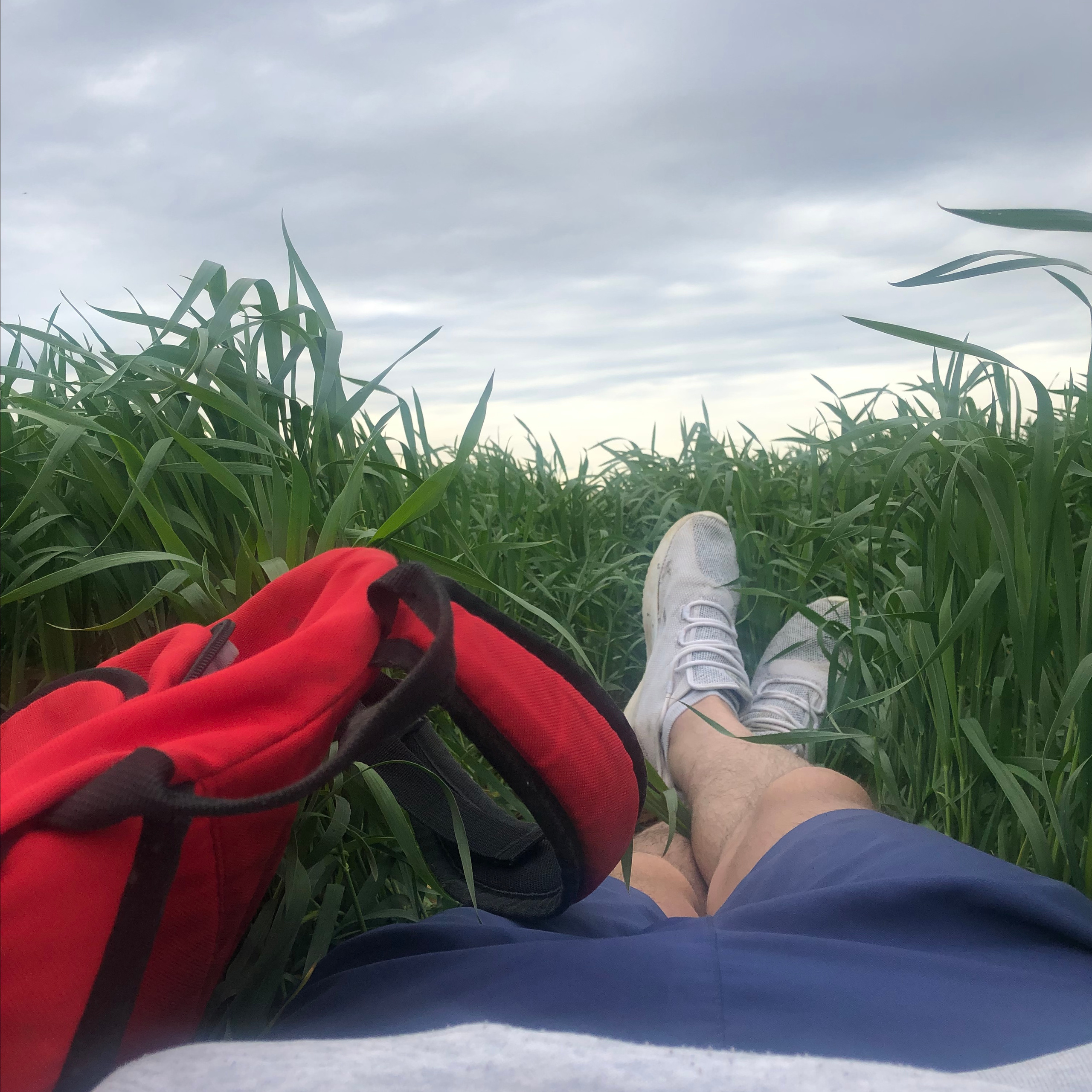 Отзывы. Фотограф Алеся Груздо Волгоград