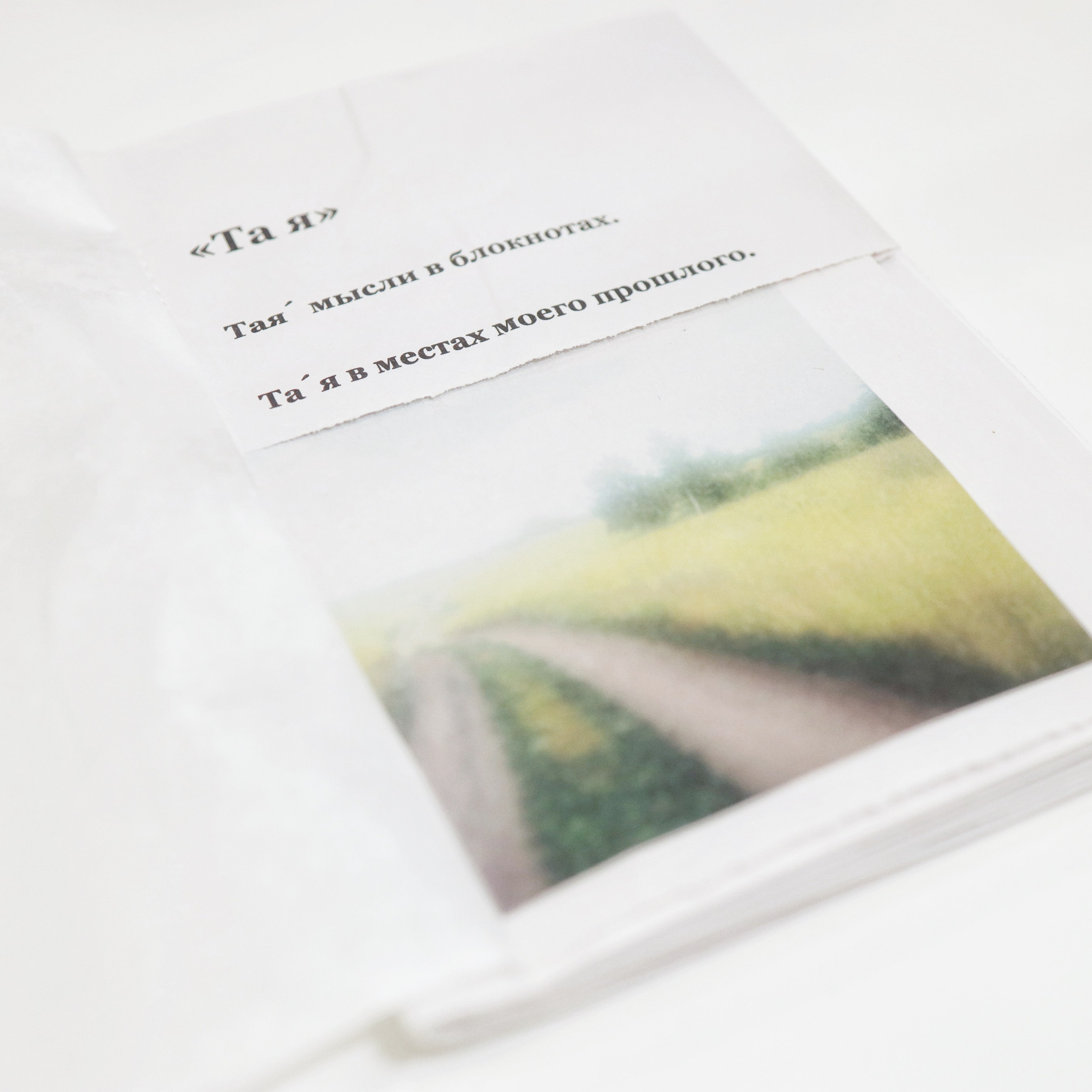 Zinebook: «Та я». Тая́ мысли в блокнотах. Та́я в местах моего прошлого.