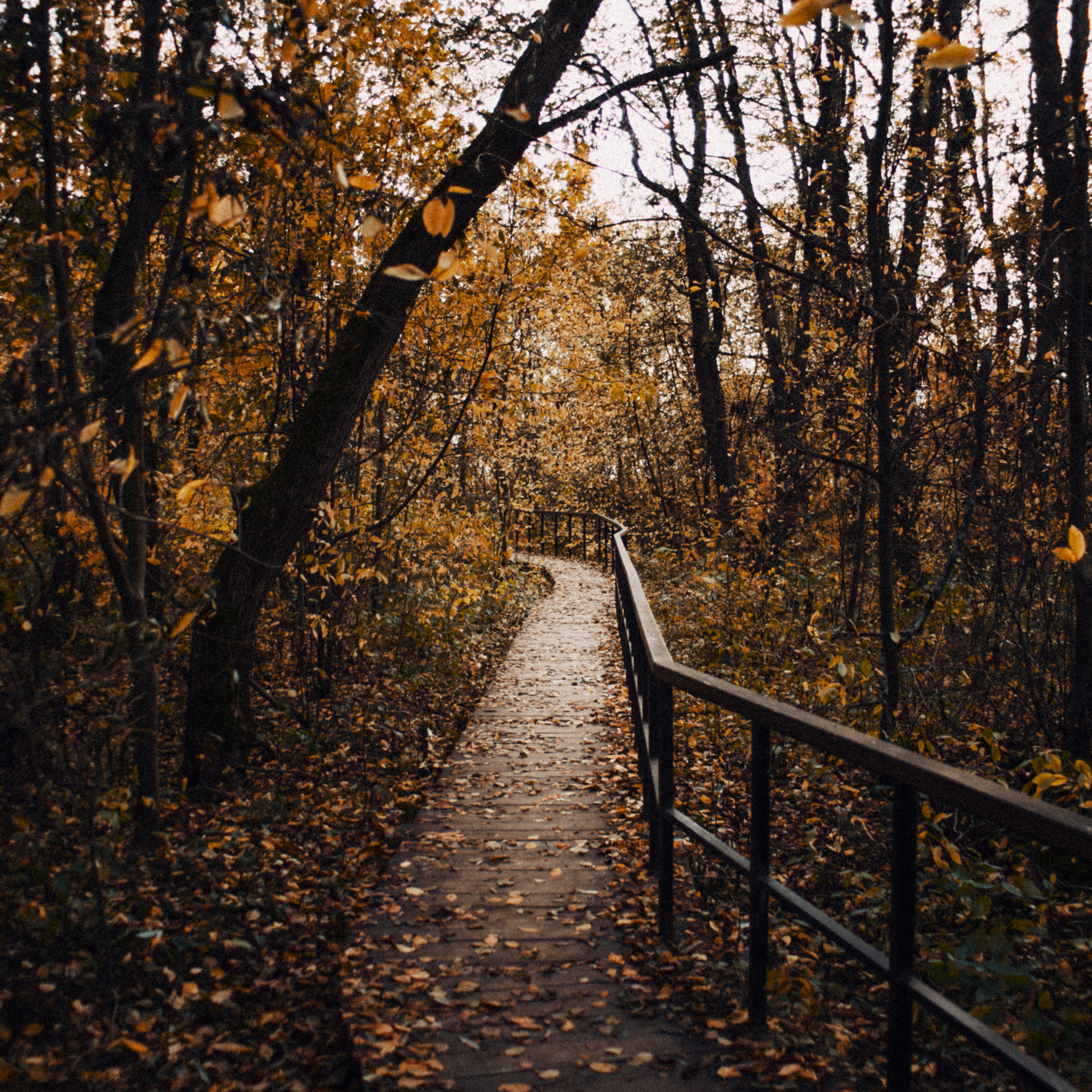 настроение осень