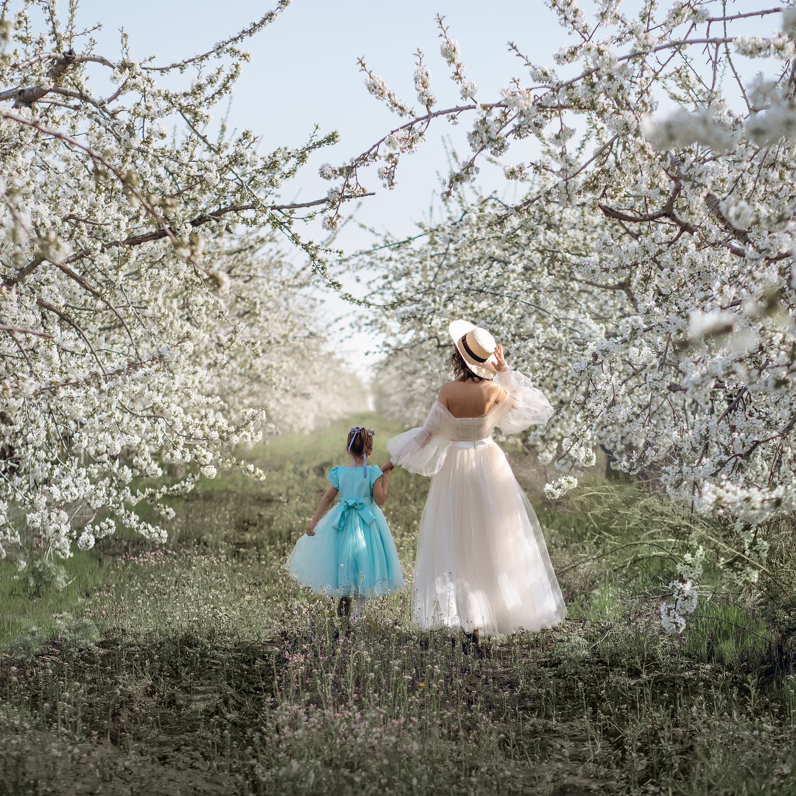 Цветущие сады