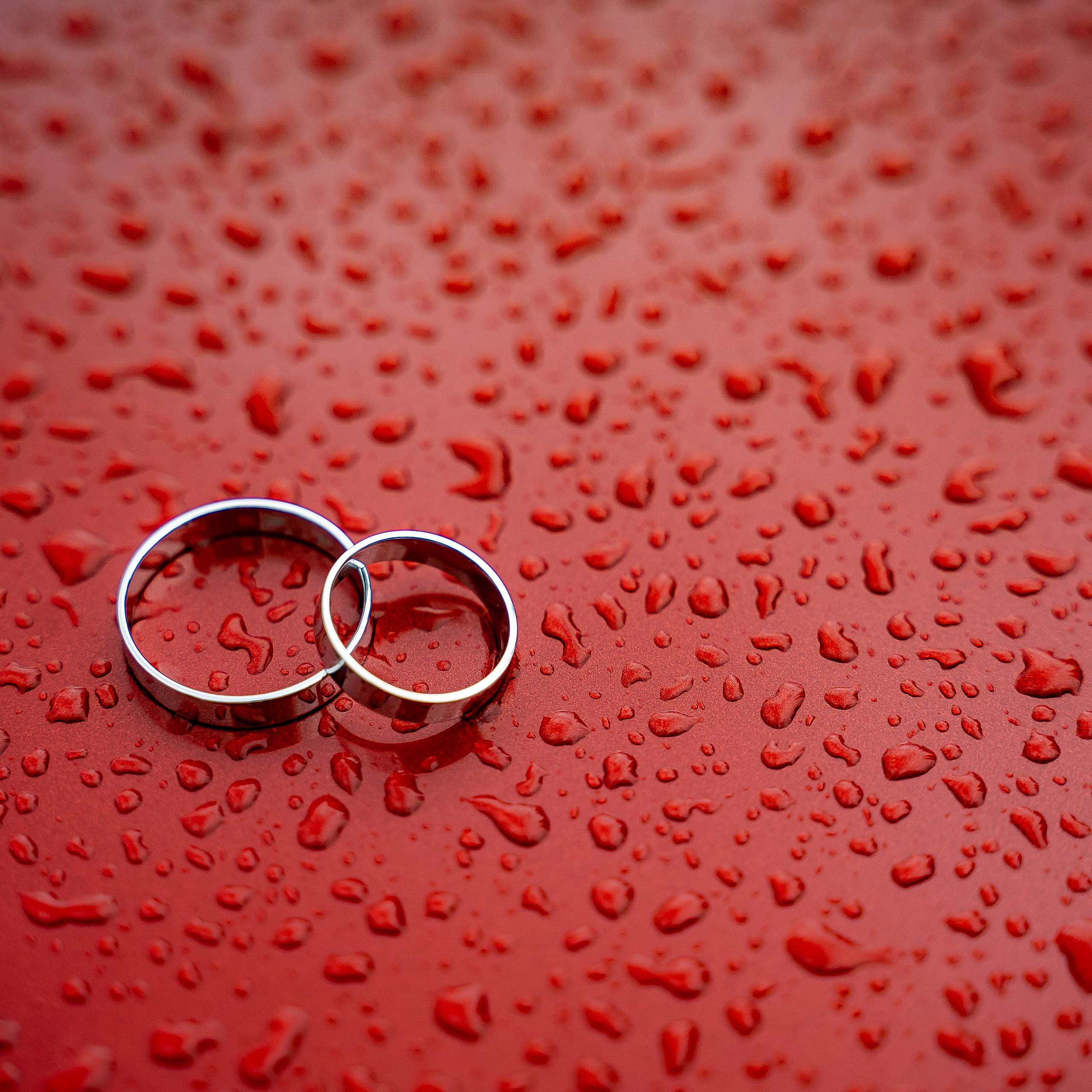 Отзывы. Сергей Кошкин Фотограф