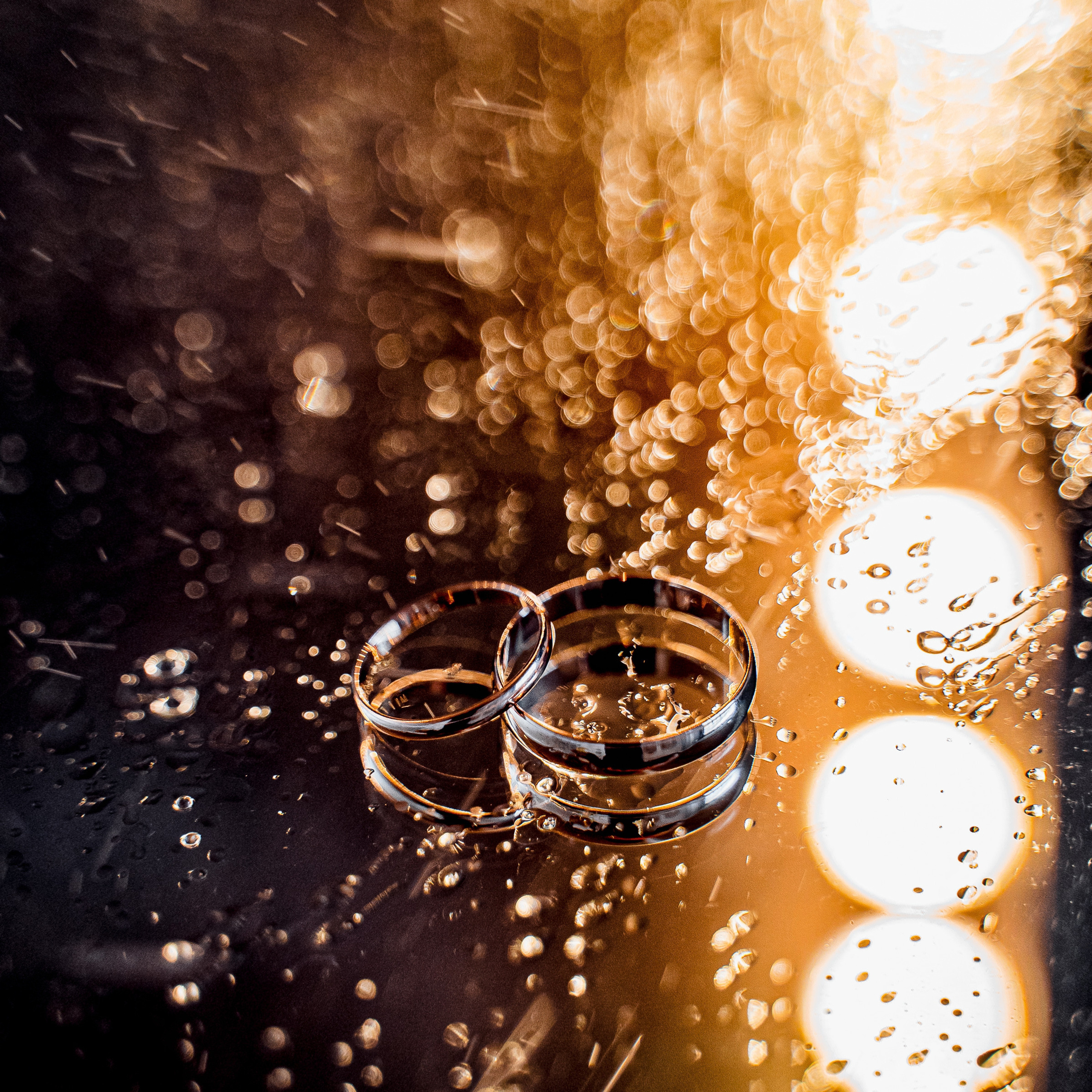 Отзывы. Сергей Кошкин Фотограф