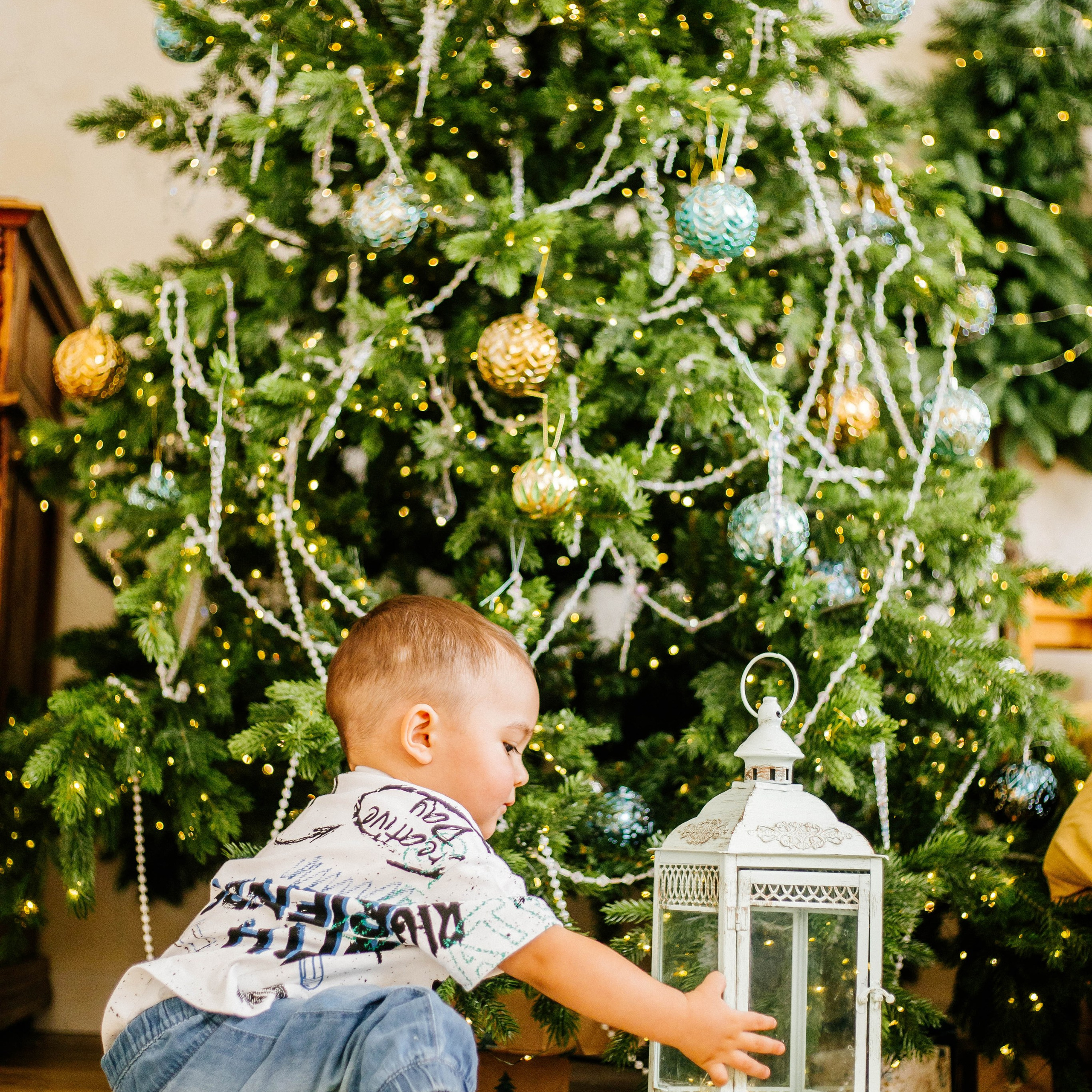 Лев с семьей