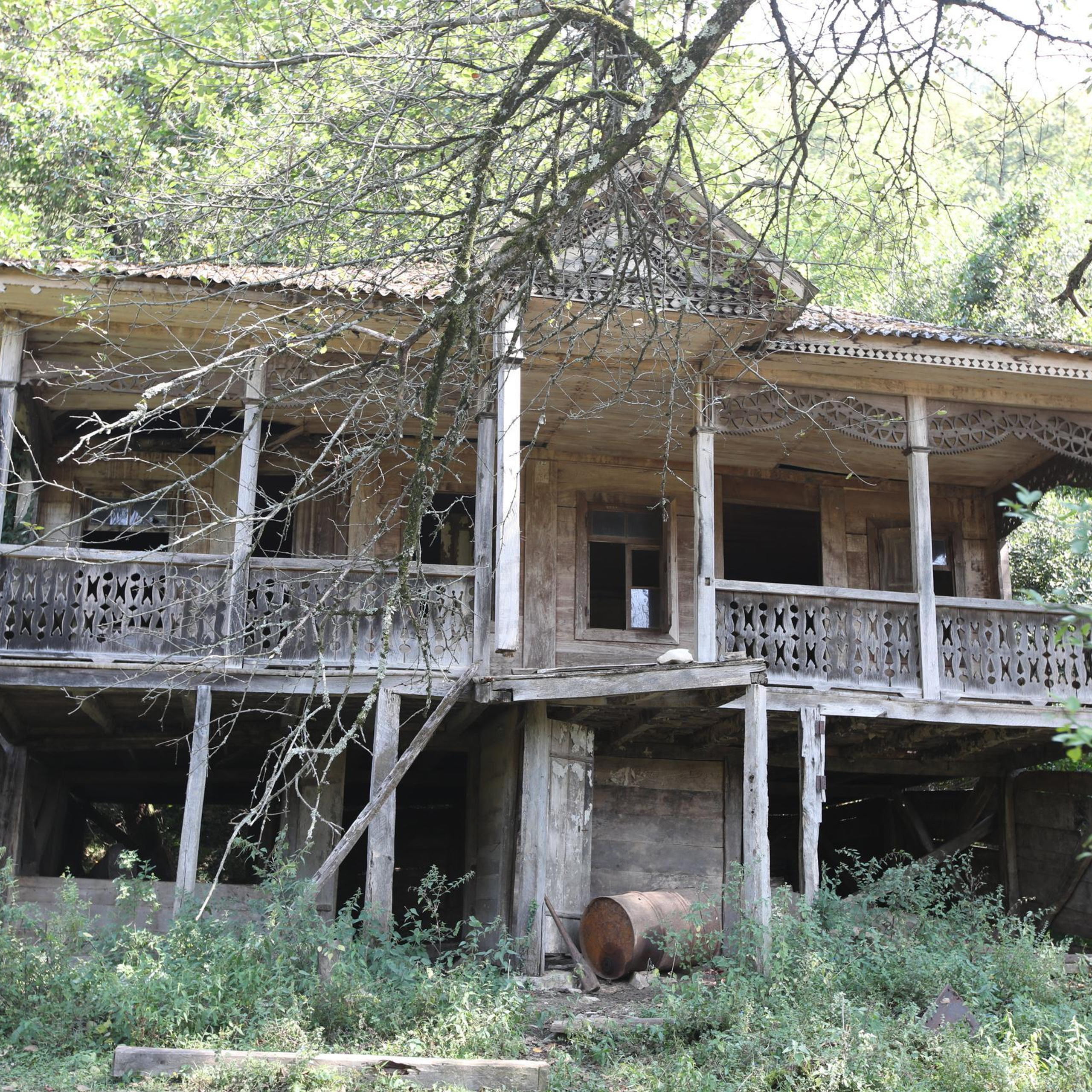 Отзывы о фотографе Неонилла Ленко. Фотосессии в Москве - фотограф Неонилла Ленко