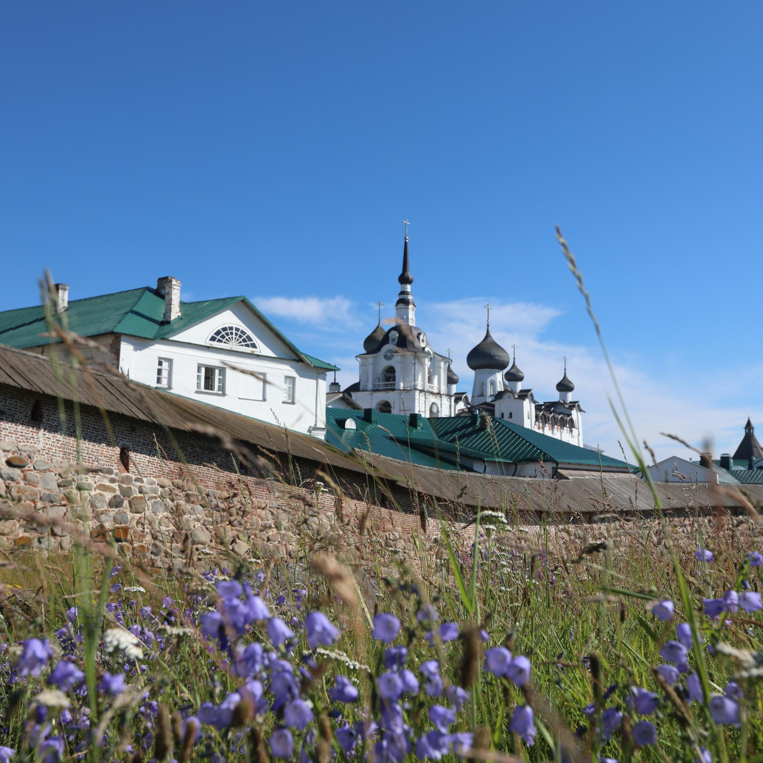 Отзывы о фотографе Неонилла Ленко. Фотосессии в Москве - фотограф Неонилла Ленко