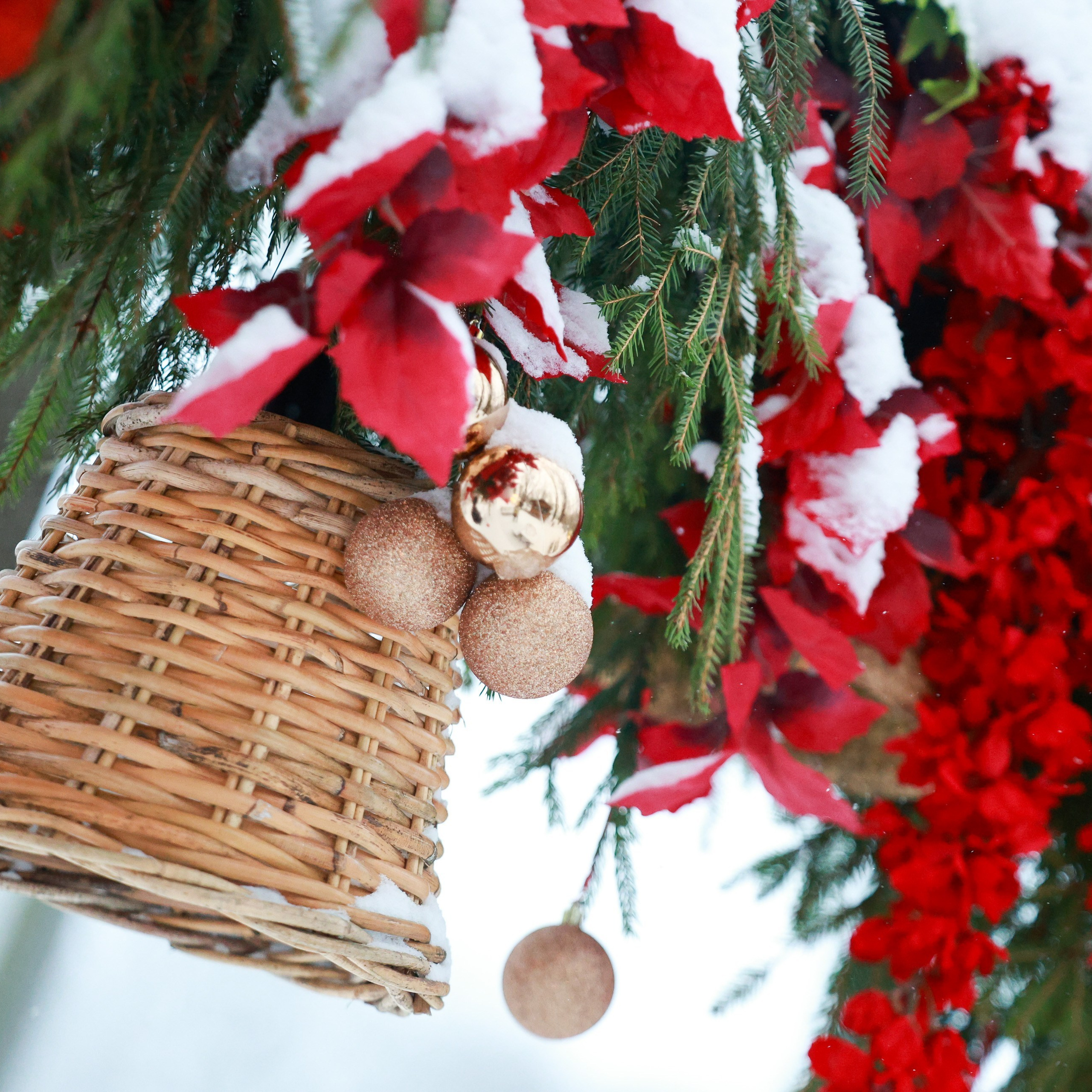 Фотограф спб отзывы. Профессиональный спортивный фотограф в Санкт-Петербурге