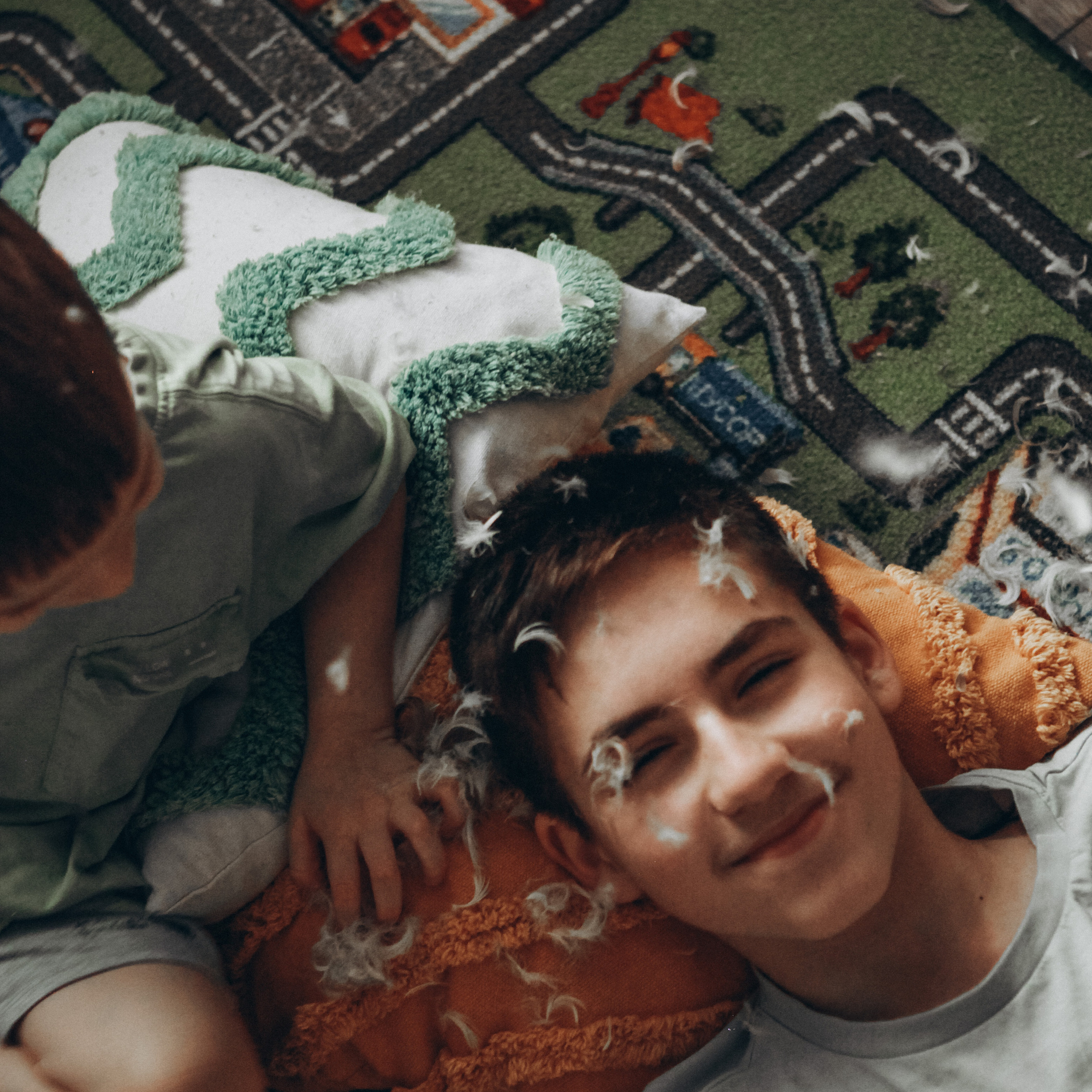 Каникулы. Братья. Перья.