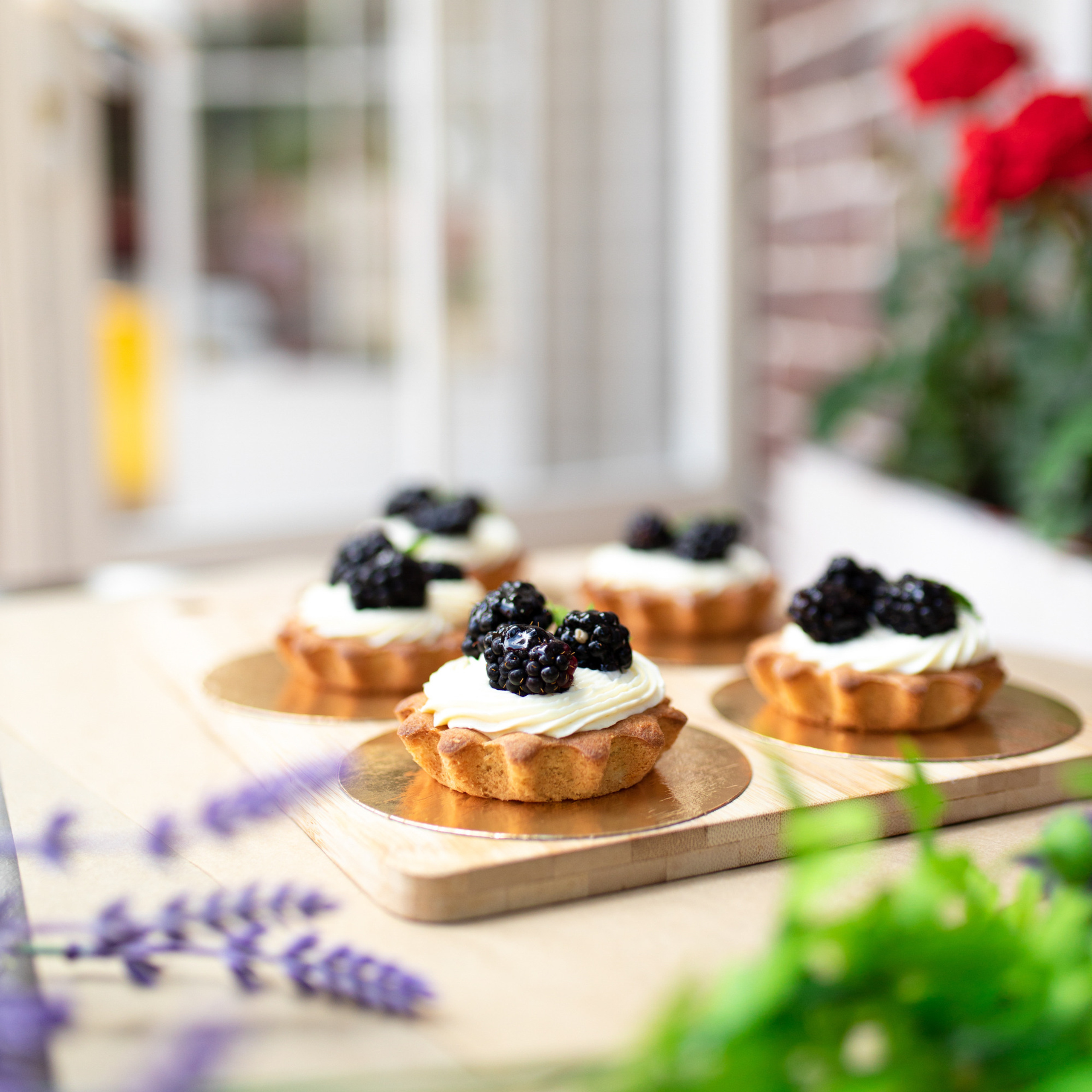 Море кофе. Фотограф Мария Сваридзе